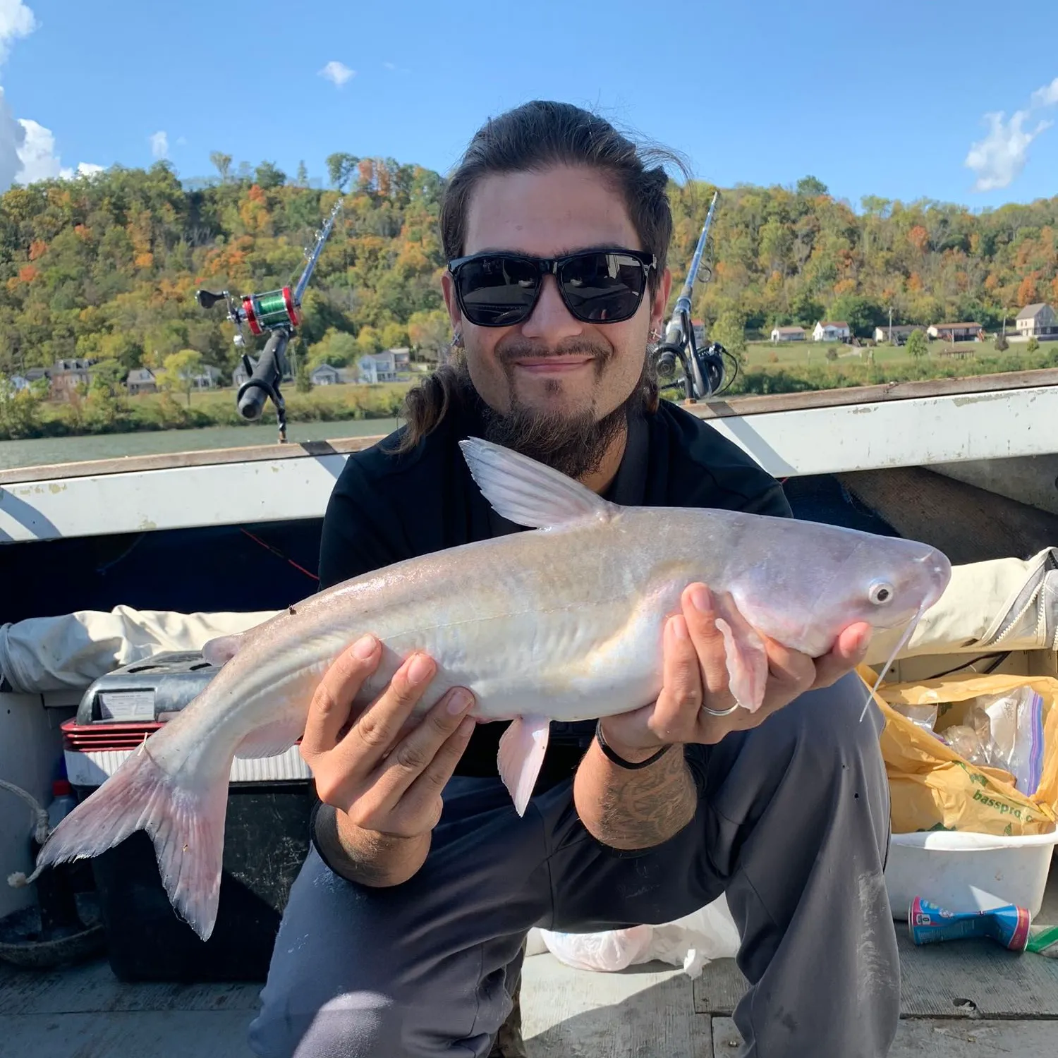 The most popular recent Blue catfish catch on Fishbrain