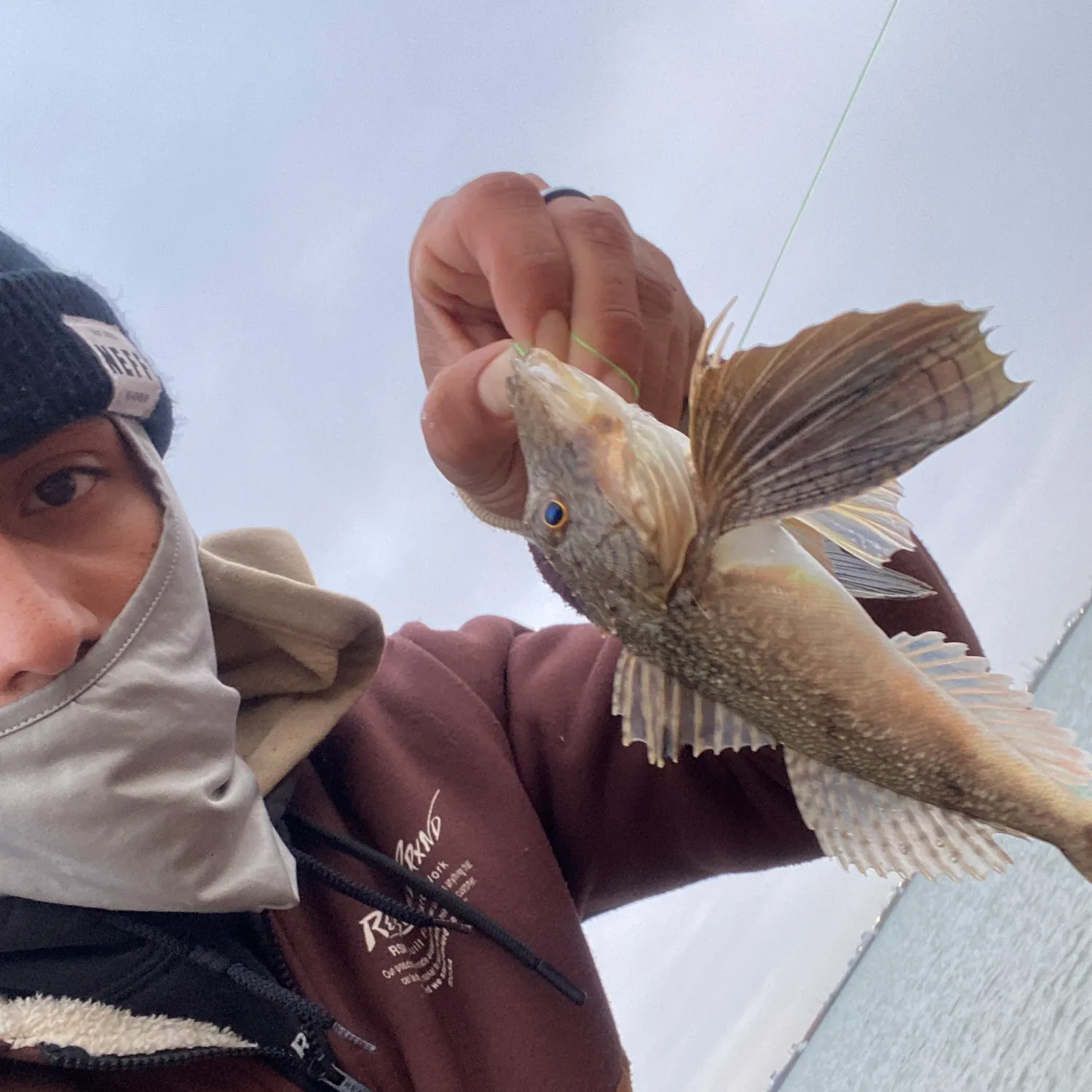 The most popular recent Bigmouth sculpin catch on Fishbrain