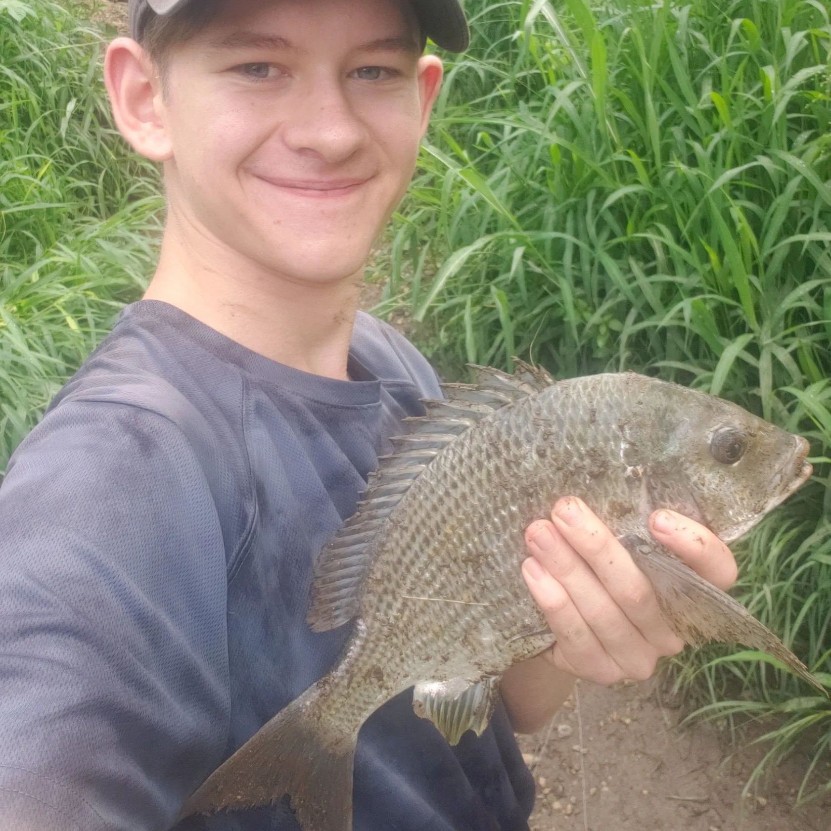 The most popular recent Pacific seabream catch on Fishbrain