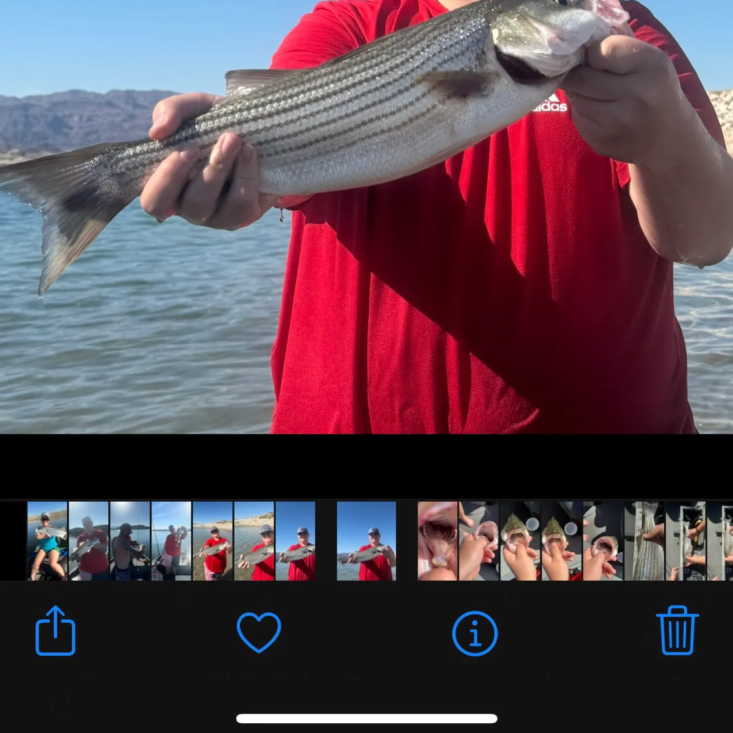 recently logged catches