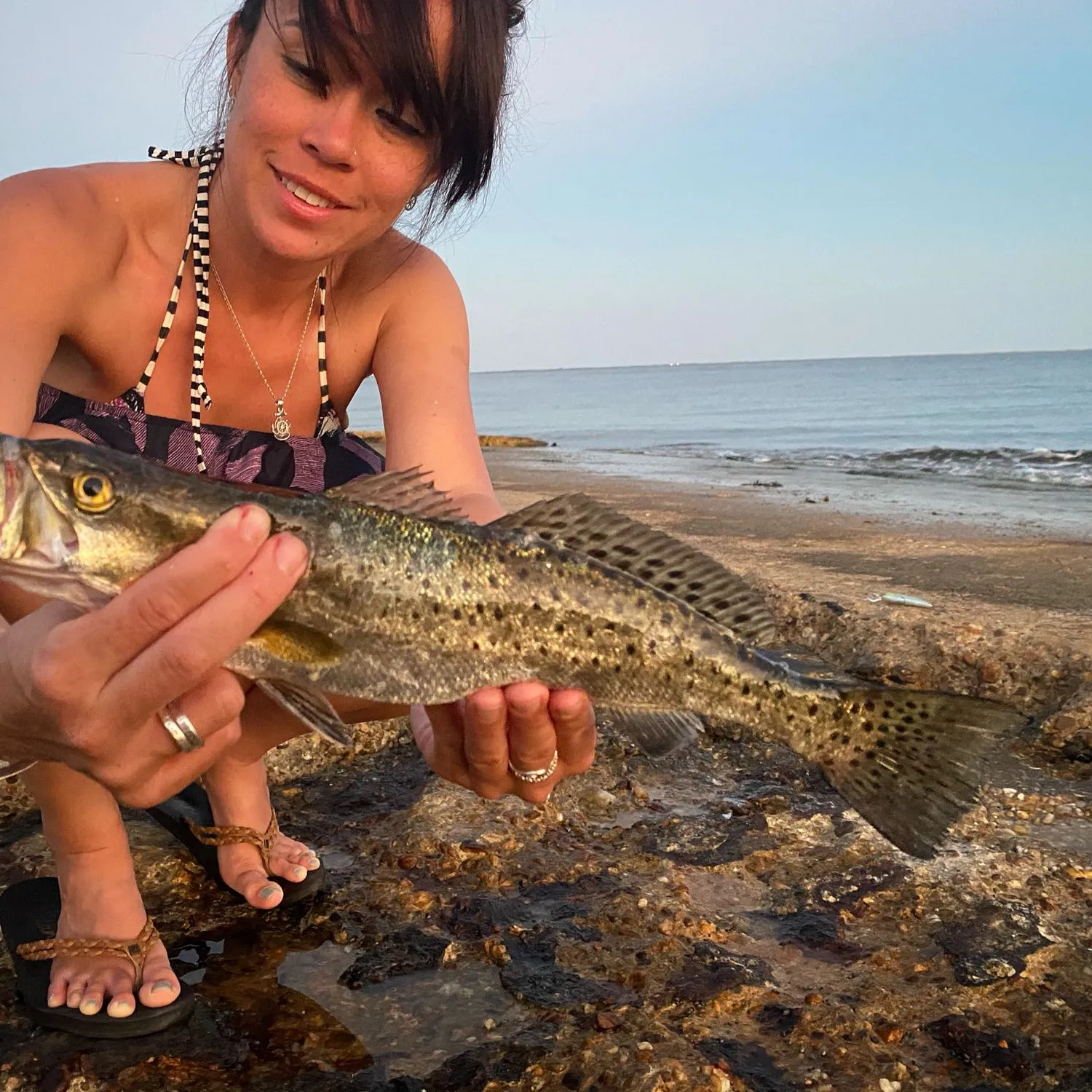 The most popular recent Spotted seatrout catch on Fishbrain