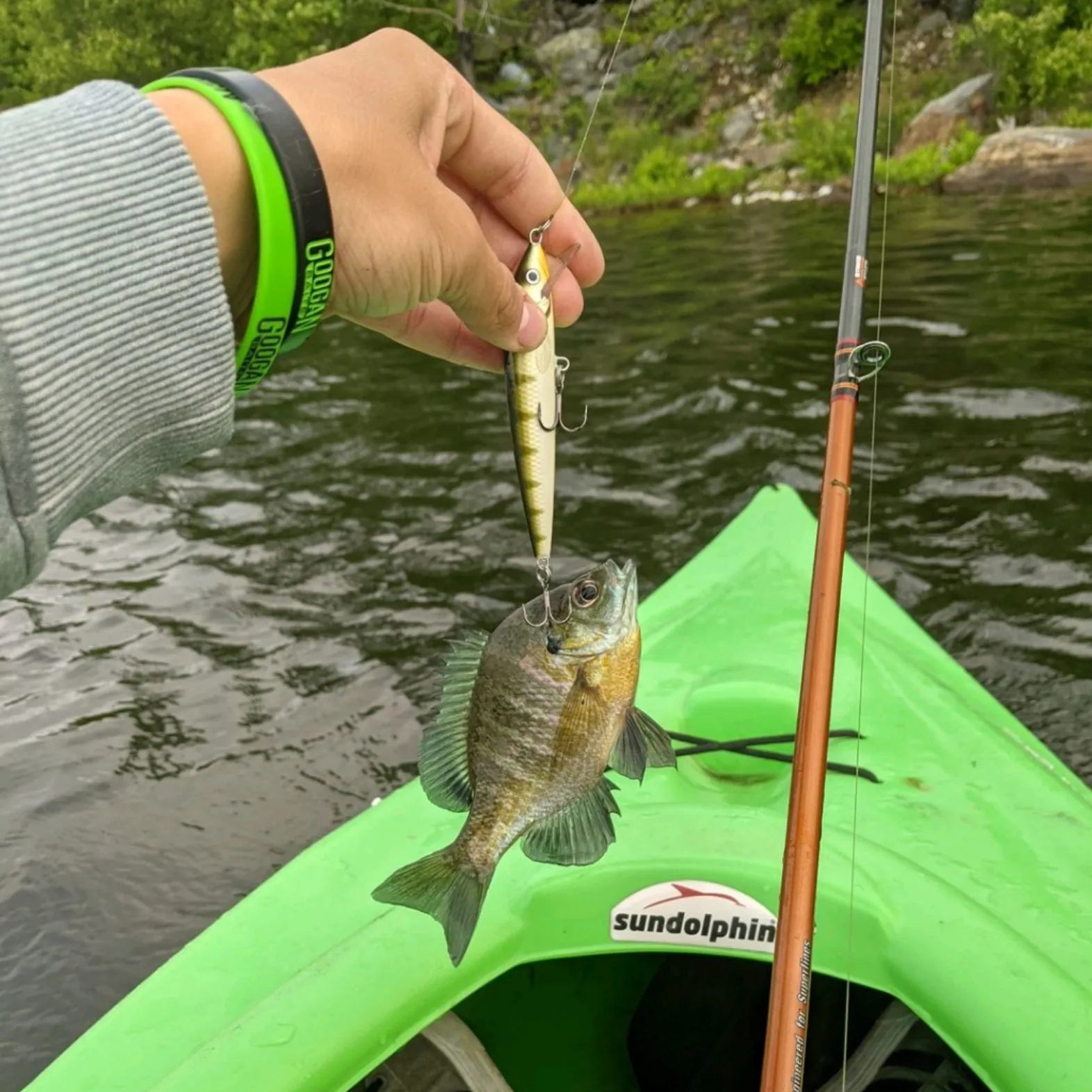 recently logged catches