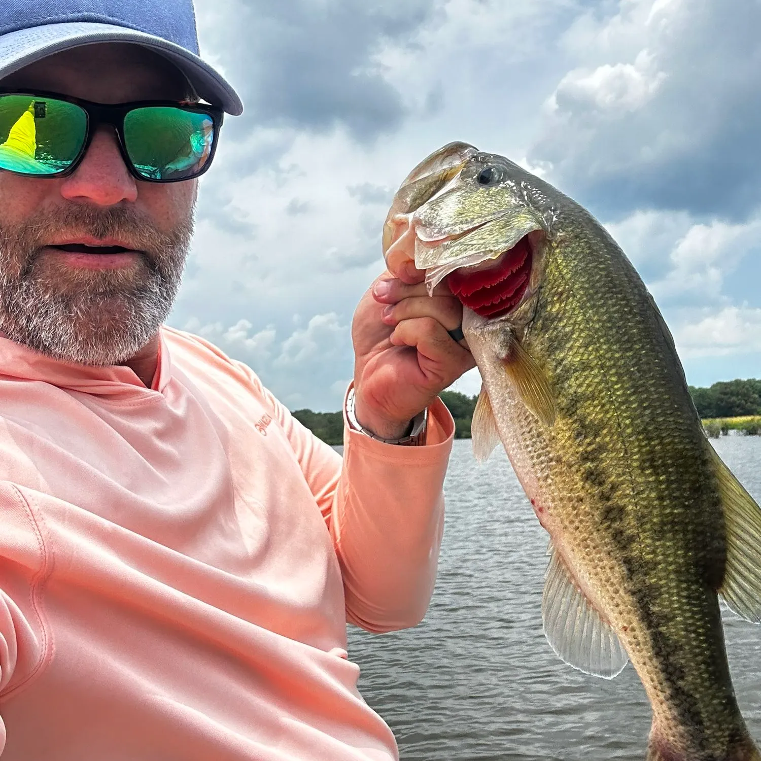 ᐅ Lake Hogue Fishing Reports🎣• Jonesboro, Ar (united States) Fishing