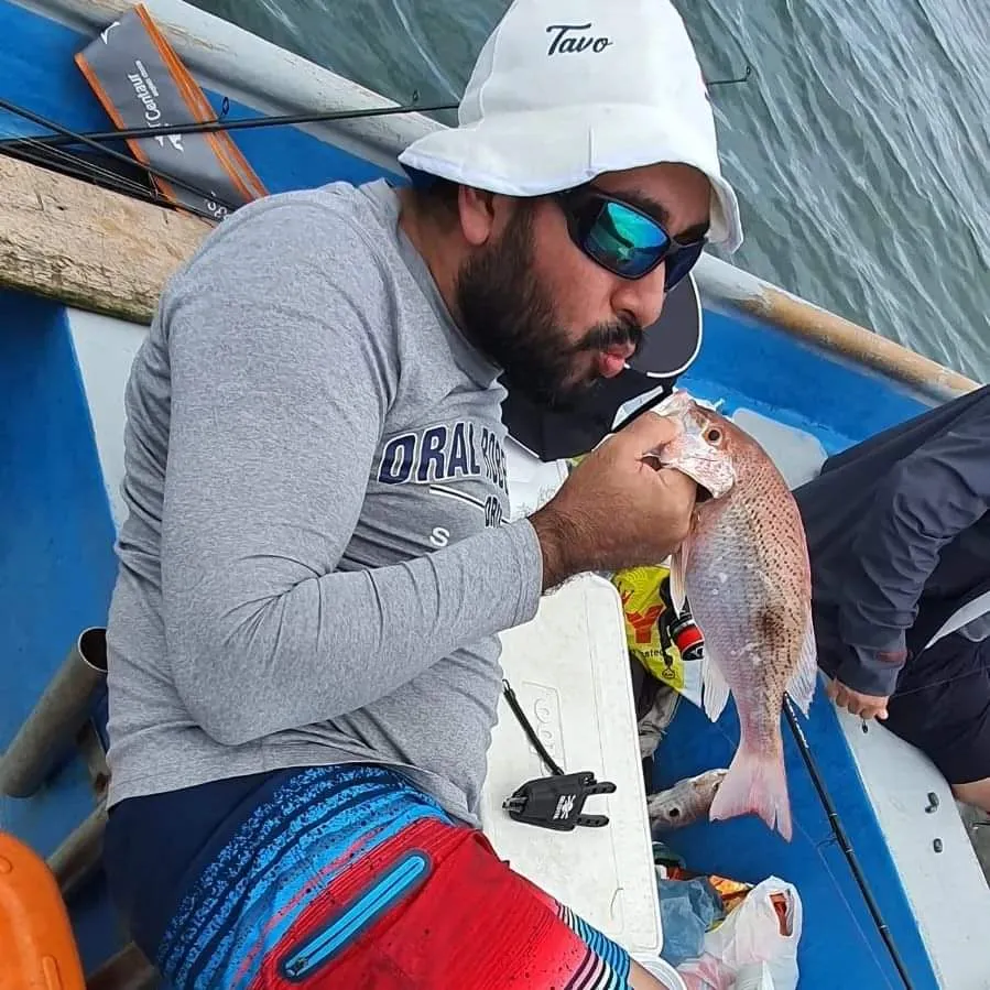 The most popular recent Spotted rose snapper catch on Fishbrain