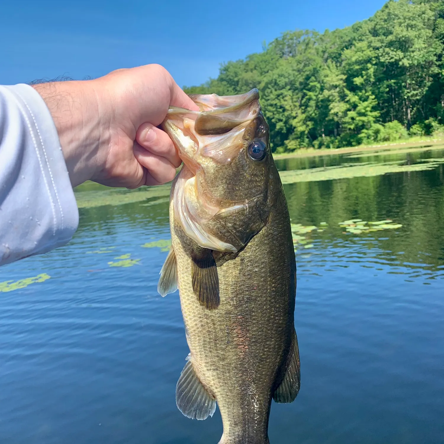 ᐅ Splitrock Reservoir fishing reports🎣• Rockaway, NJ (United States ...