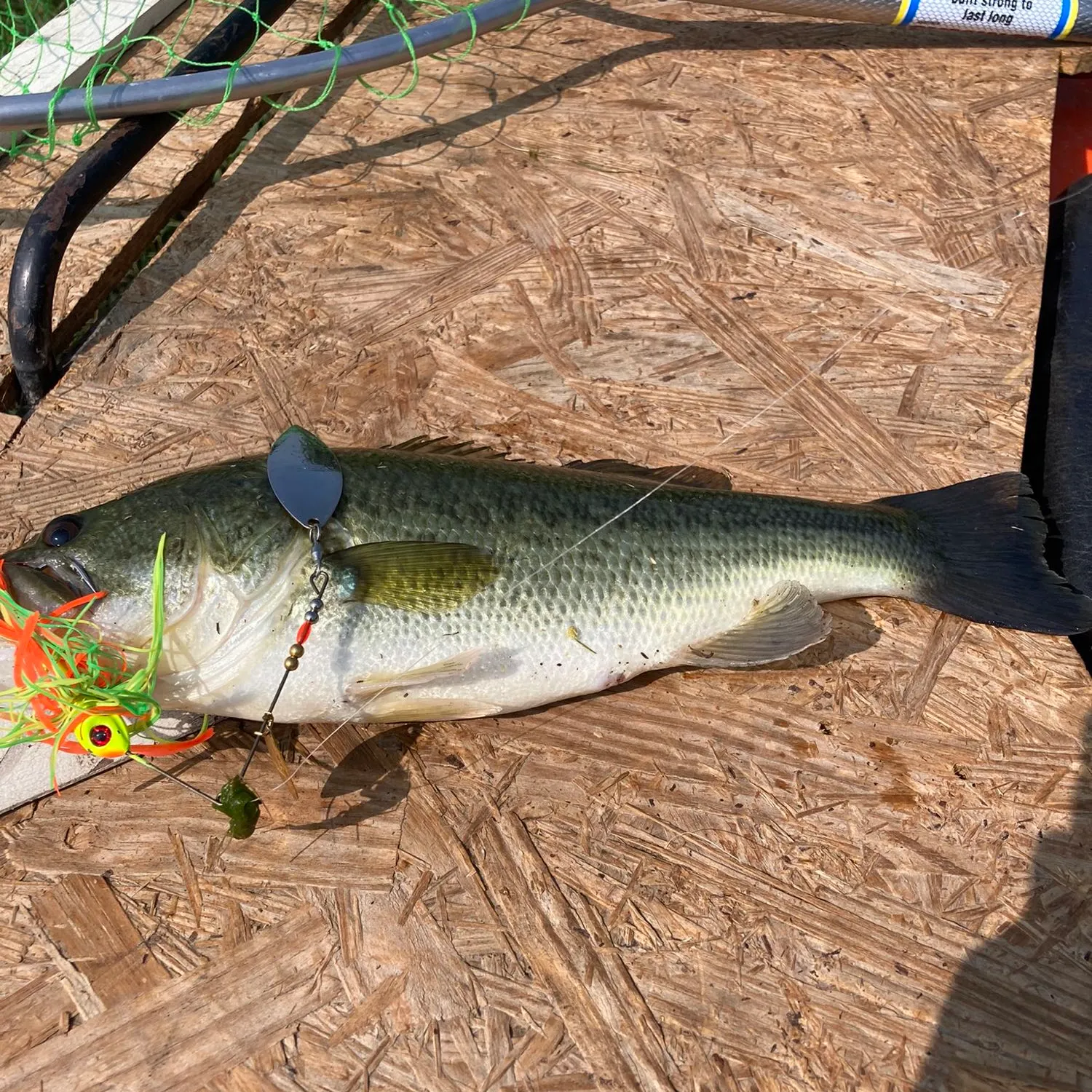 ᐅ Grubb Lake fishing reports🎣• South Lyon, MI (United States) fishing