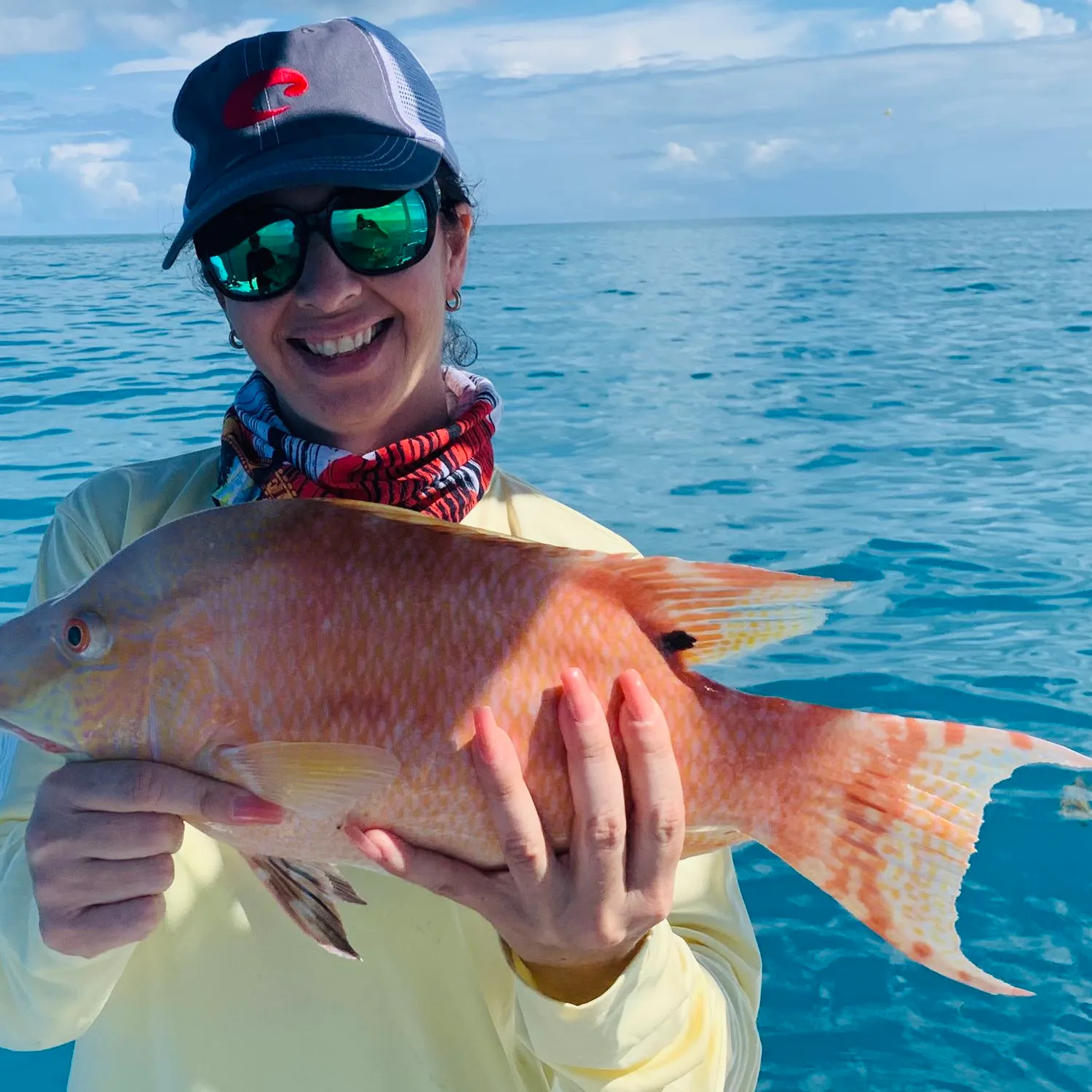 The most popular recent Hogfish catch on Fishbrain