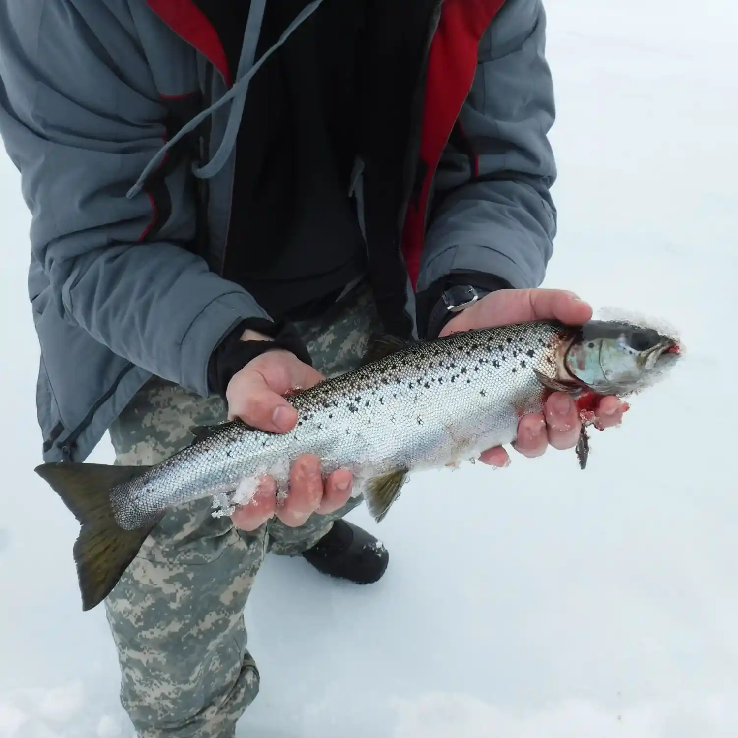 Moosehead Lake Maine Ice fishing 