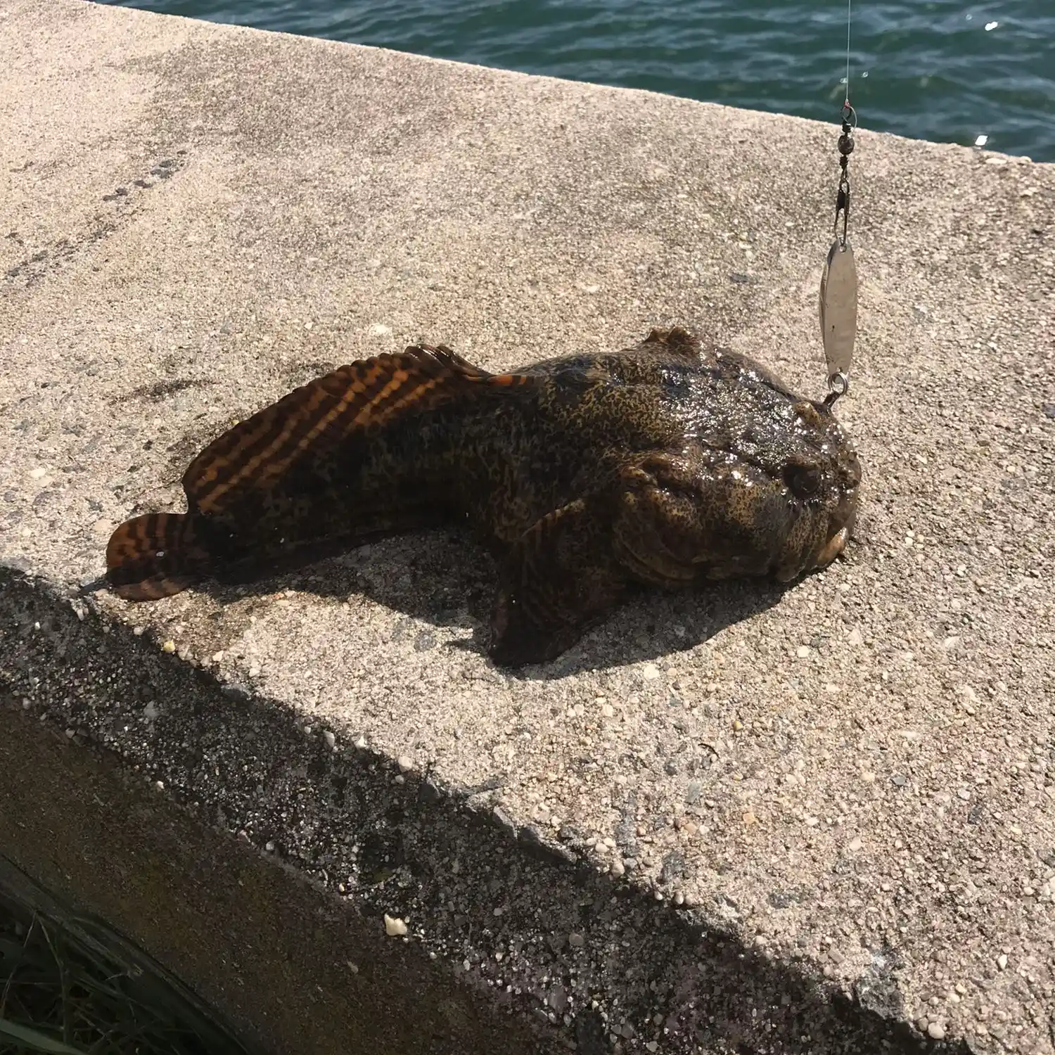 Shinnecock Canal: Bank on an Early Start - The Fisherman