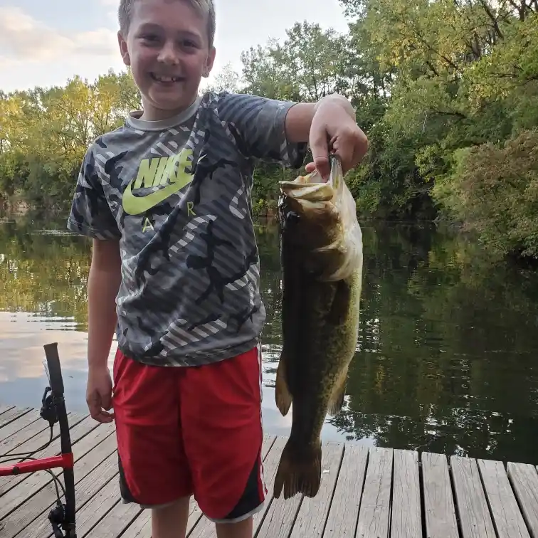 ᐅ Ink Pond fishing reports🎣• Marion, IA (United States) fishing