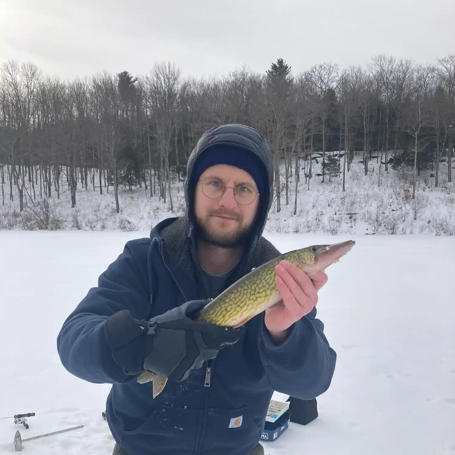 ᐅ Fawn Lake fishing reports🎣• Guilderland, NY (United States