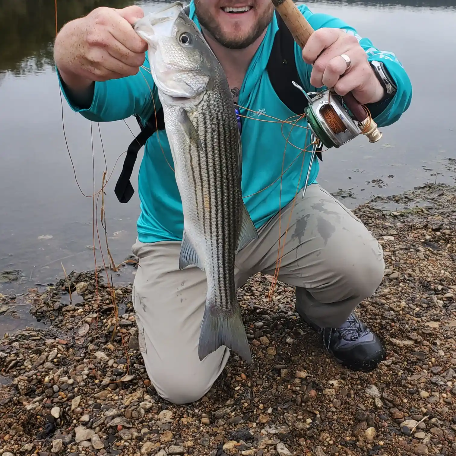 Catfish, Striped Bass Stand Out in Possum Kingdom Fish Surveys