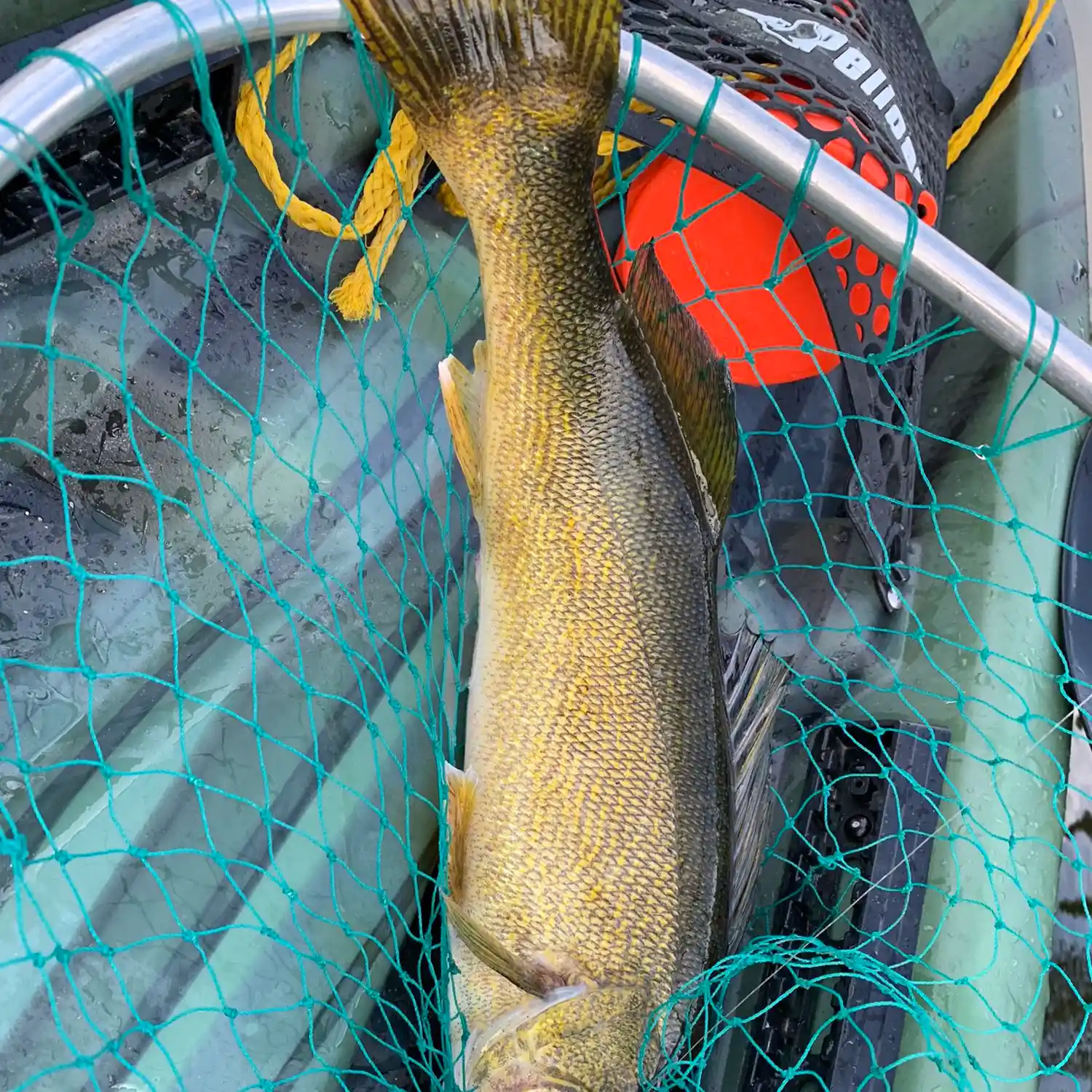ᐅ Rivière du Lièvre fishing reports🎣• Massena, Quebec (Canada) fishing
