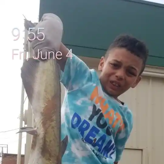 most liked catch image