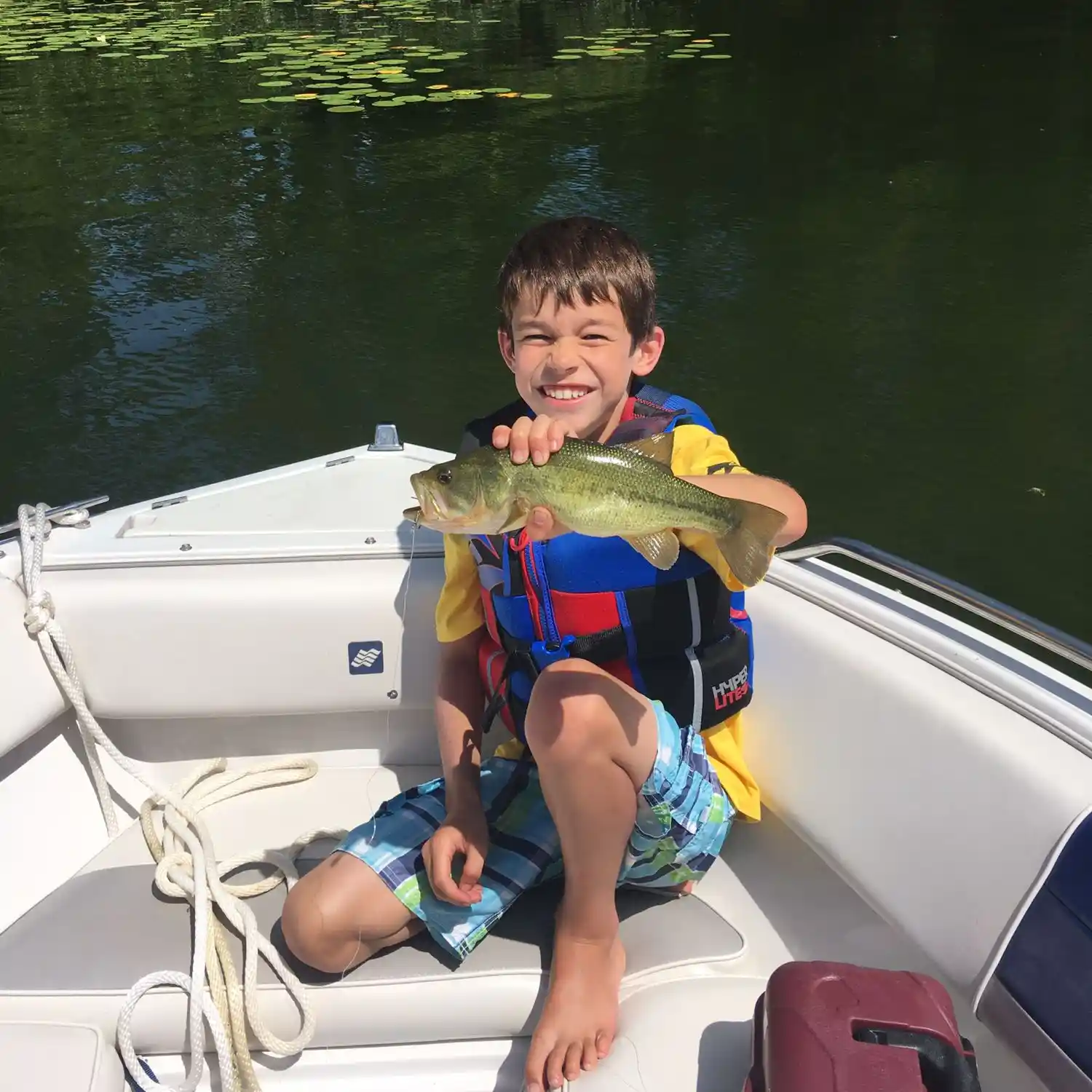 ᐅ Shupac Lake fishing reports🎣• Alpena, MI (United States) fishing