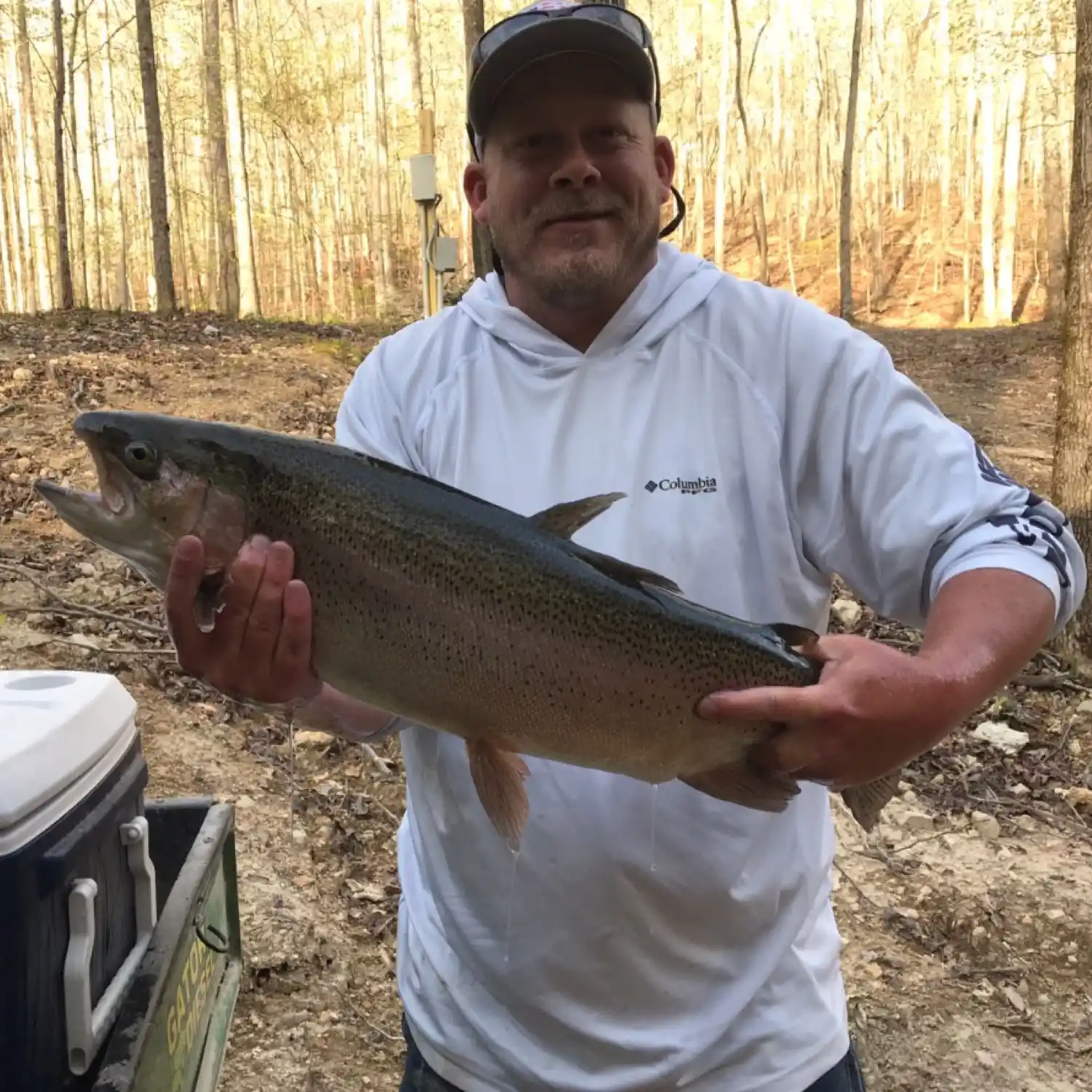 ᐅ Pin Oak Lake fishing reports🎣• Jackson, TN (United States) fishing