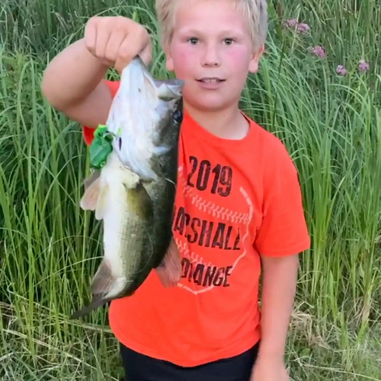 ᐅ Monson Lake fishing reports🎣• Willmar, MN (United States) fishing