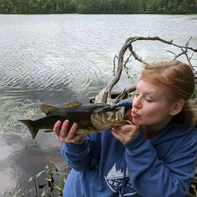 ᐅ Beaver Pond fishing reports🎣• Hooksett, NH (United States) fishing