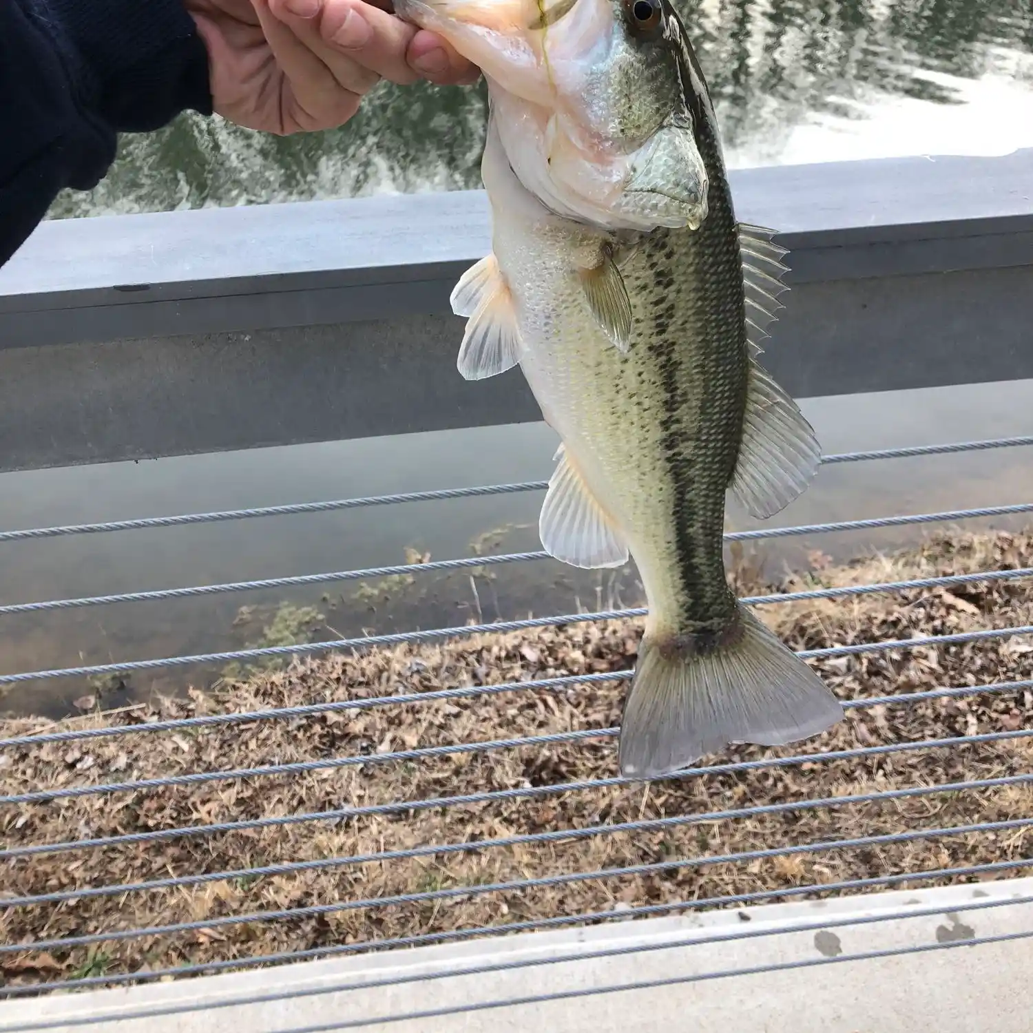 Lake Atalanta Archives - Kayak Fishing Focus