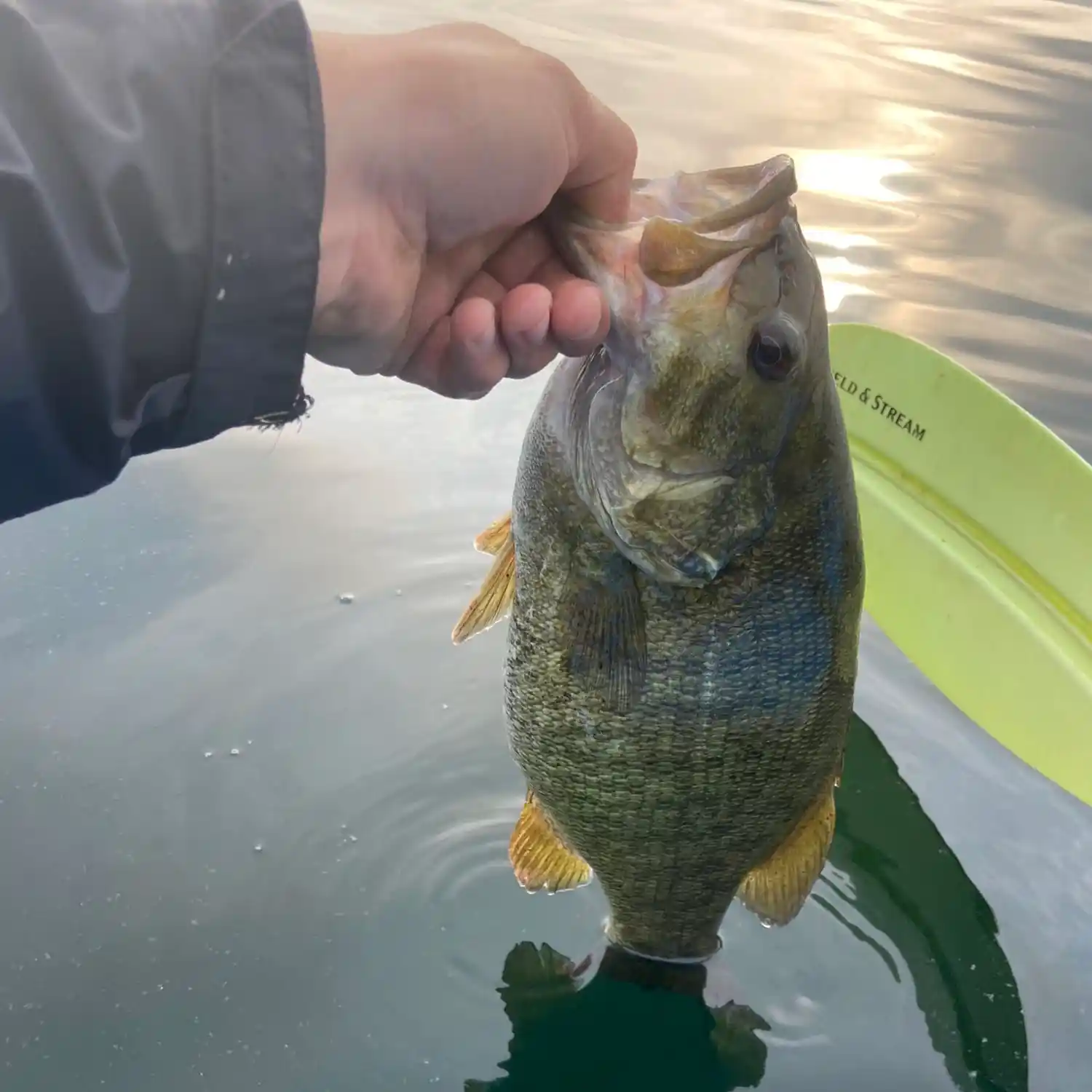 Fishing Lake Bomoseen Today! Tough Day - Stay Bent Fishing Tours