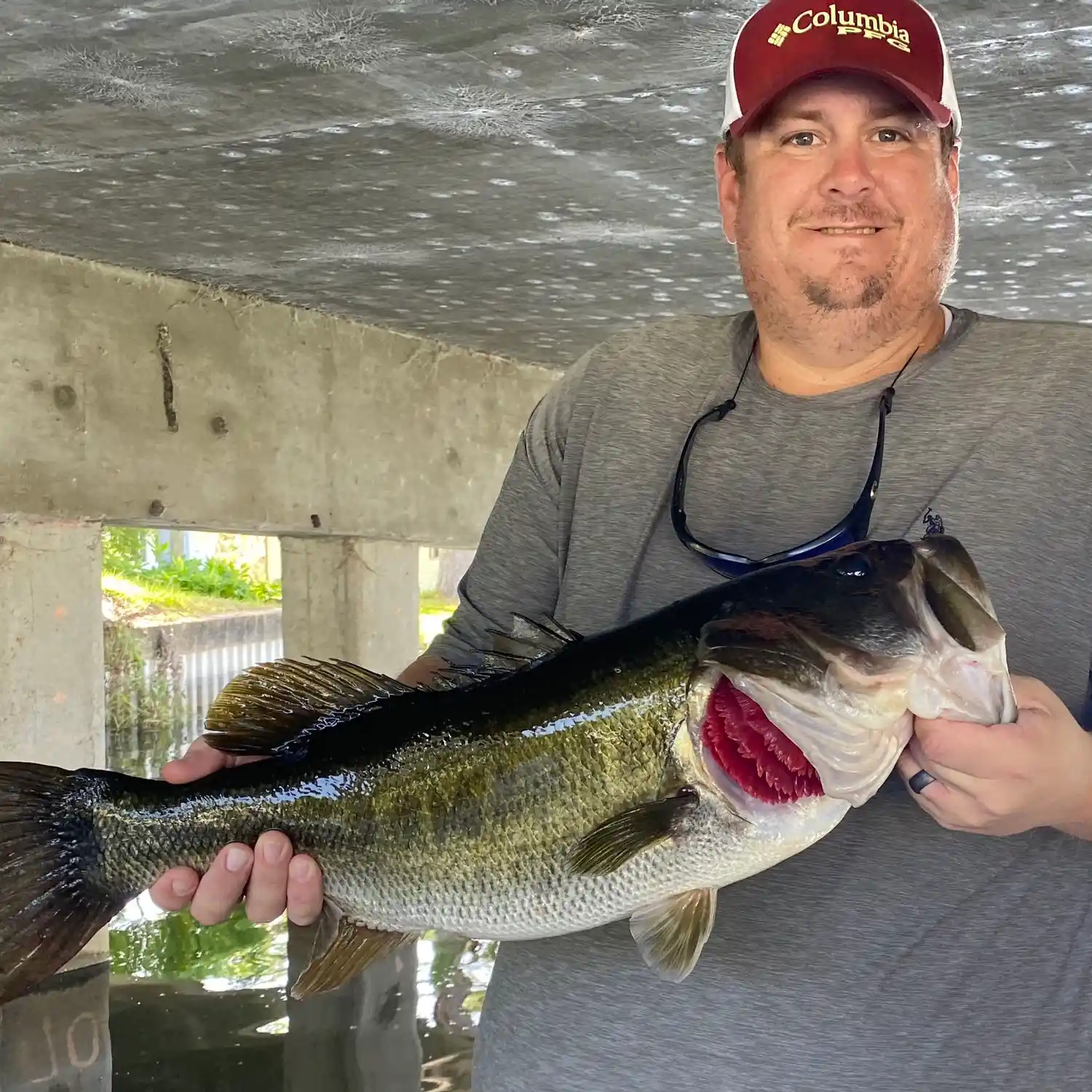 ᐅ Lake Ola fishing reports🎣• Mount Dora, FL (United States) fishing