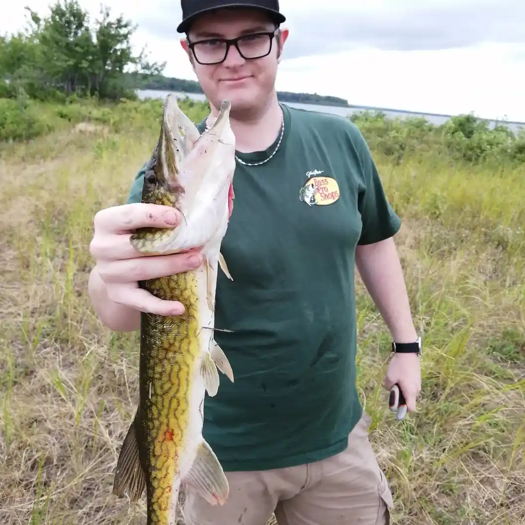 ᐅ Maquapit Lake fishing reports🎣• New Brunswick, Canada fishing