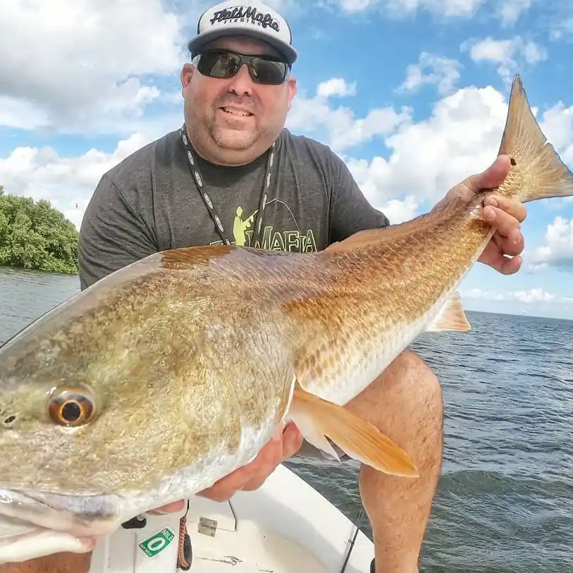 How do I catch fish in this bayou? : r/Fishing