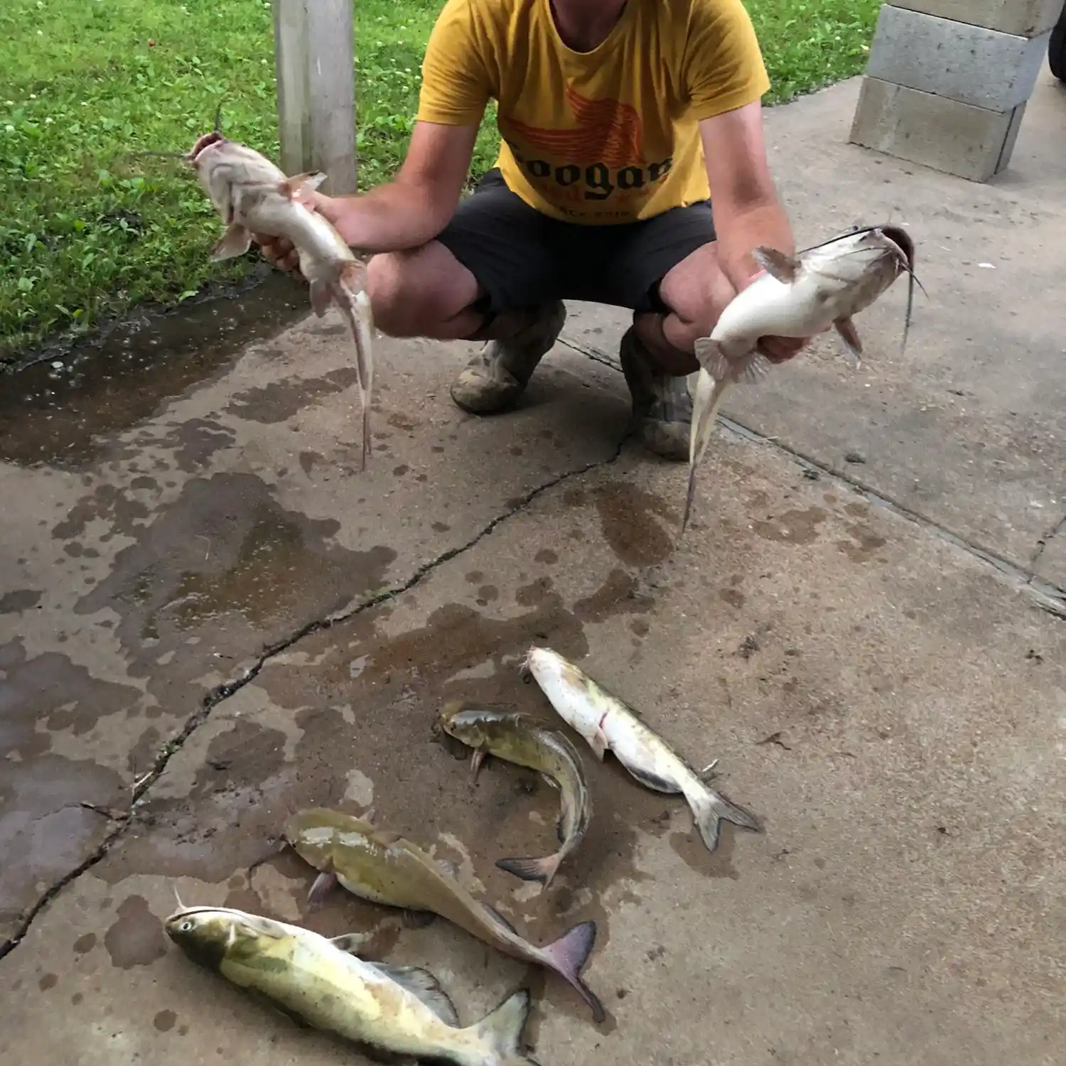 ᐅ East Cache River Ditch fishing reports🎣• Jonesboro, AR (United