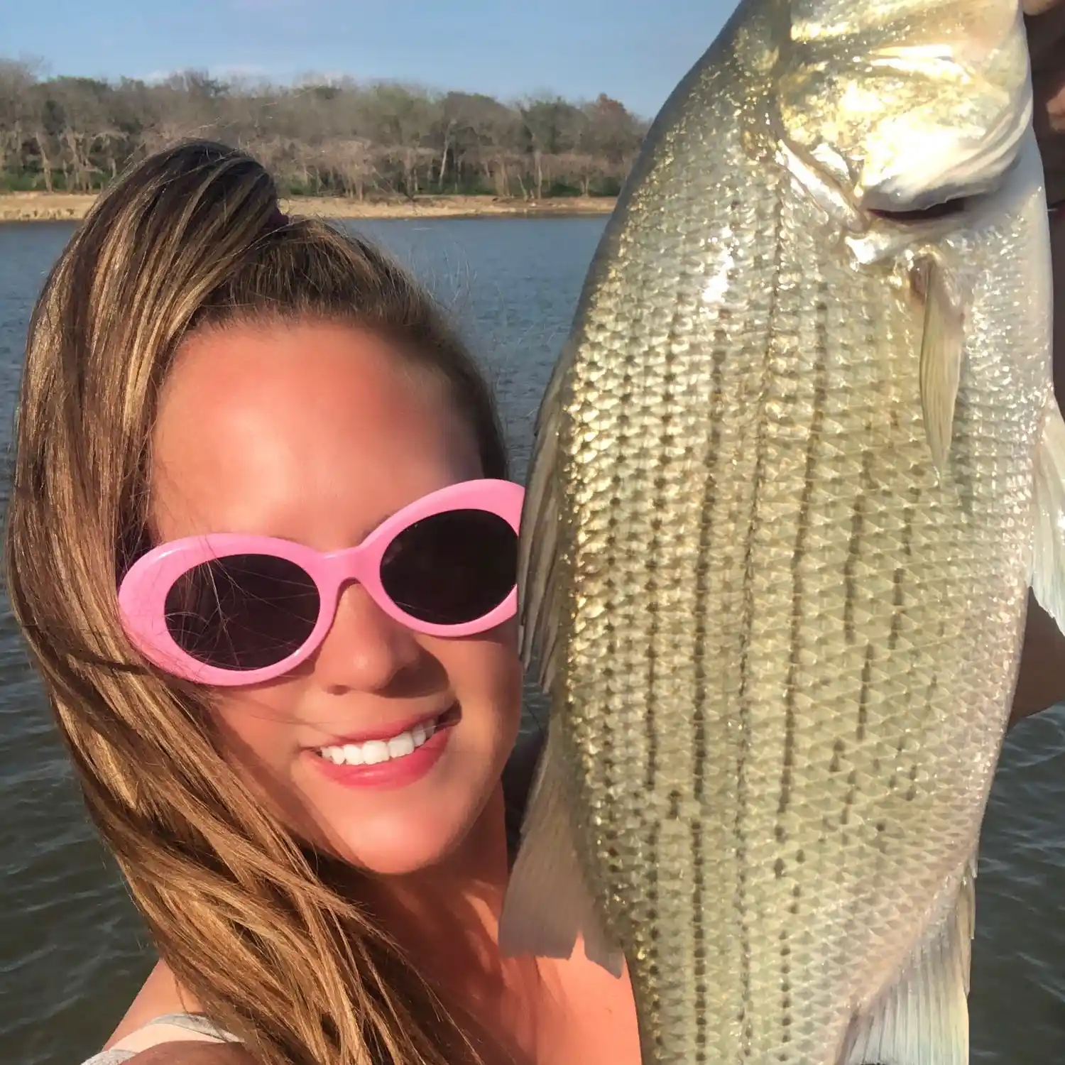 ᐅ Pomona Lake fishing reports🎣• Ottawa, KS (United States) fishing