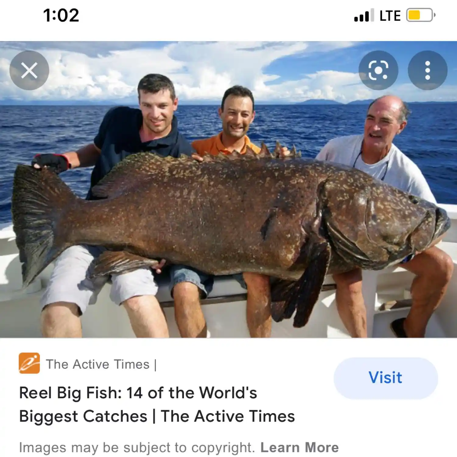 most liked catch image