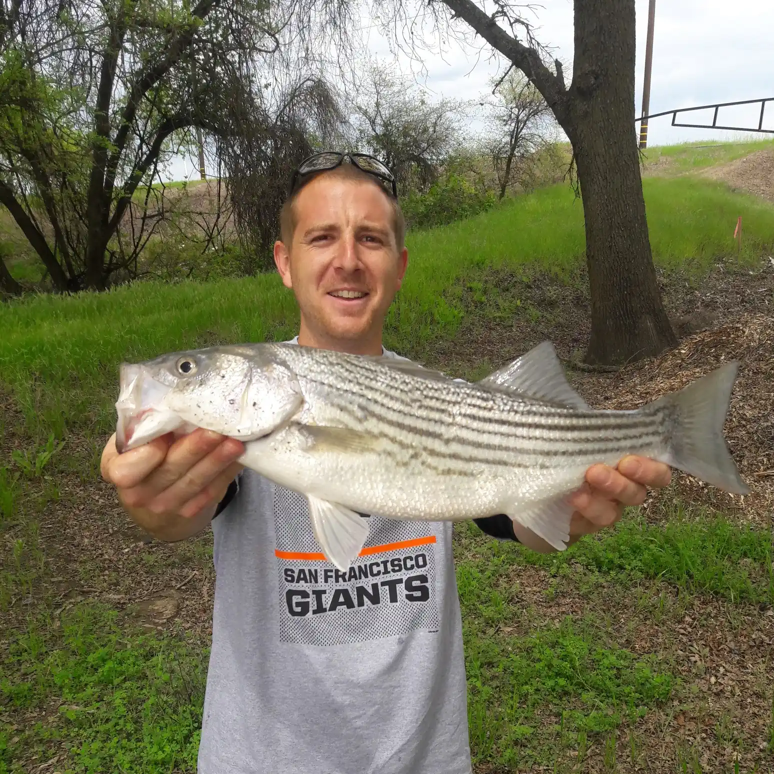 ᐅ Antelope Creek fishing reports🎣• Rocklin, CA (United States) fishing