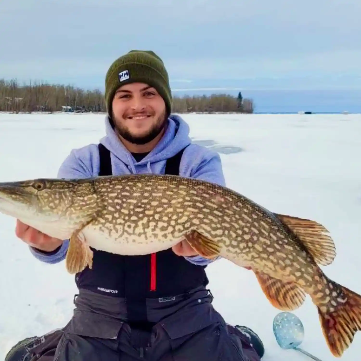 ᐅ Turtle Lake fishing reports🎣• Saskatchewan, Canada fishing