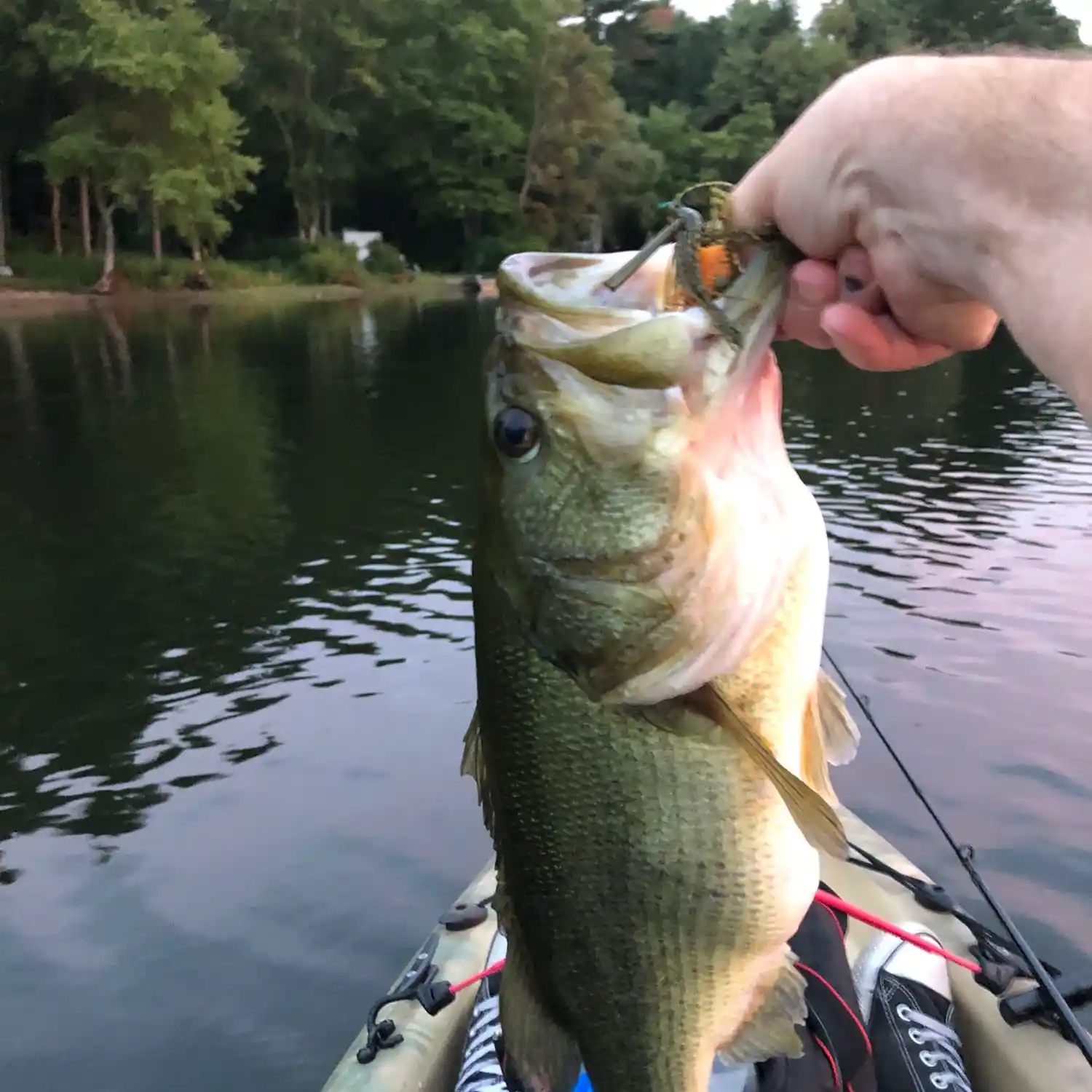 ᐅ Stetson Pond fishing reports🎣• Pembroke, MA (United States) fishing