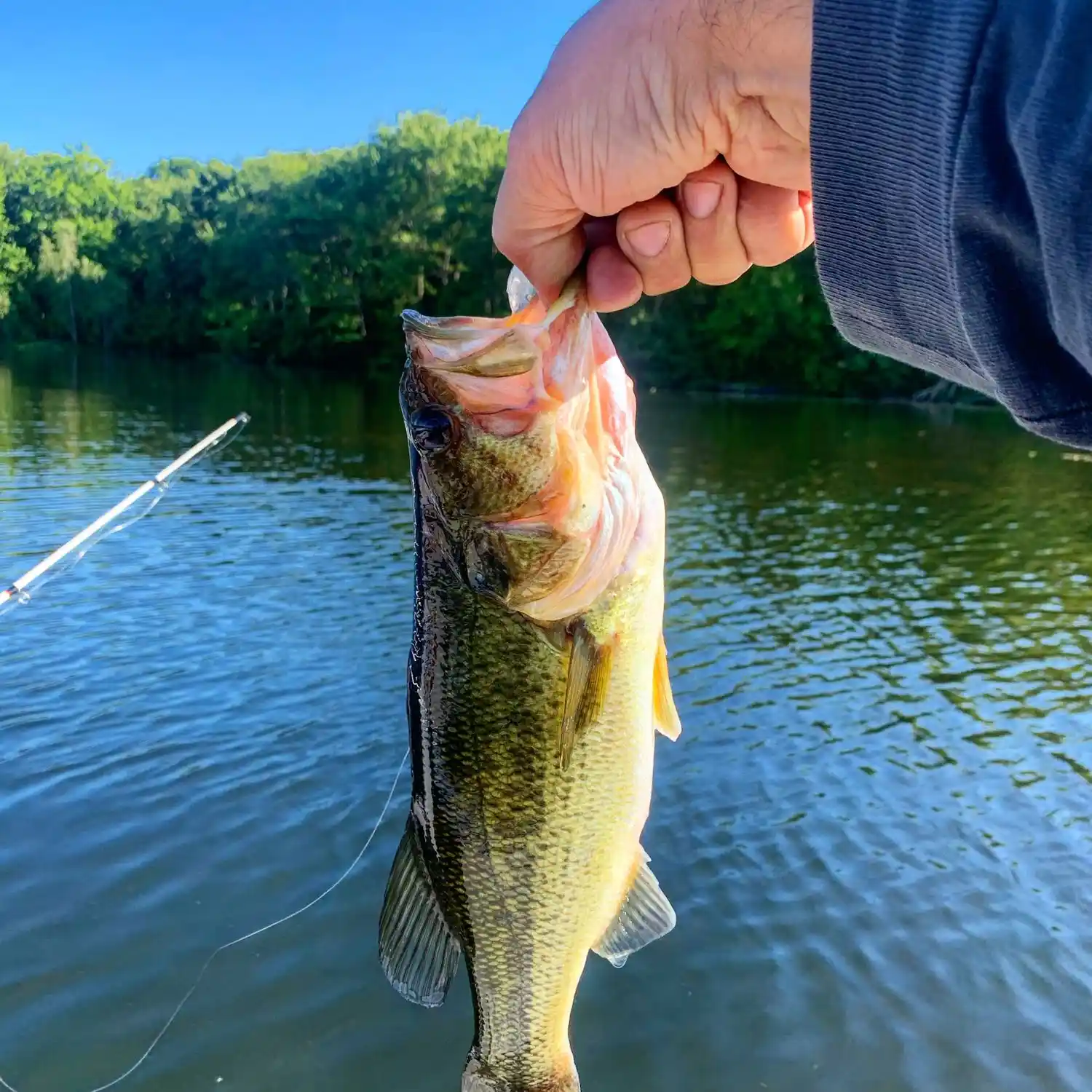 ᐅ Woodtick Reservoir fishing reports🎣• Wolcott, CT (United States) fishing