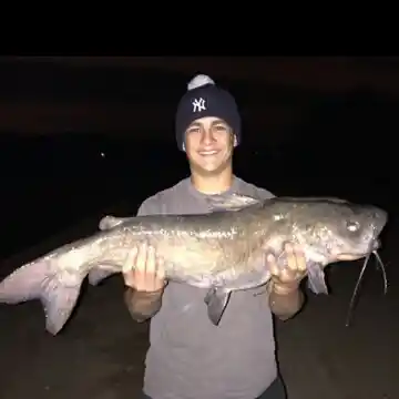 Catfishing a Small Desert Canal Spillway! (Arizona Fishing) 