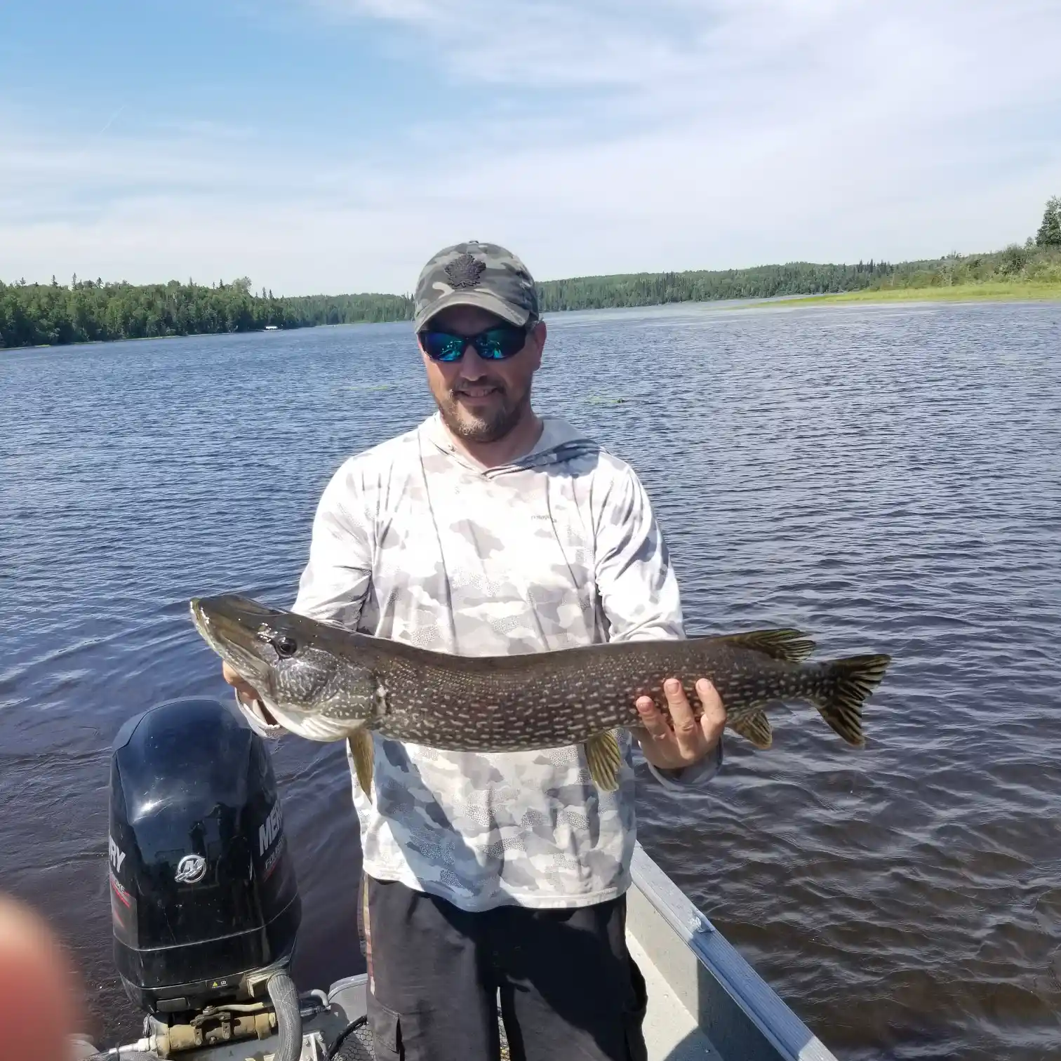 ᐅ Shallow Lake fishing reports🎣• Ontario, Canada fishing