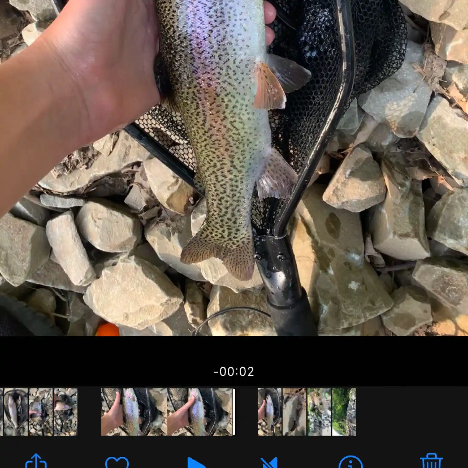 Lake Silverwood Trout Fishing 