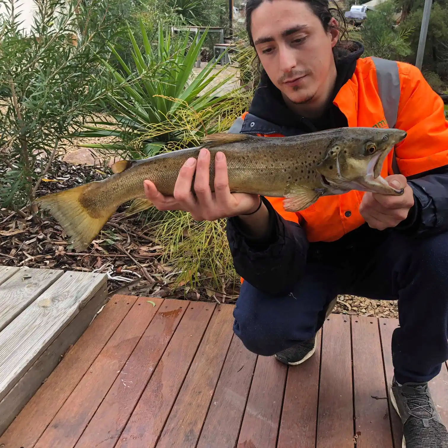 ᐅ Lake Victoria fishing reports🎣• Victoria, Australia fishing