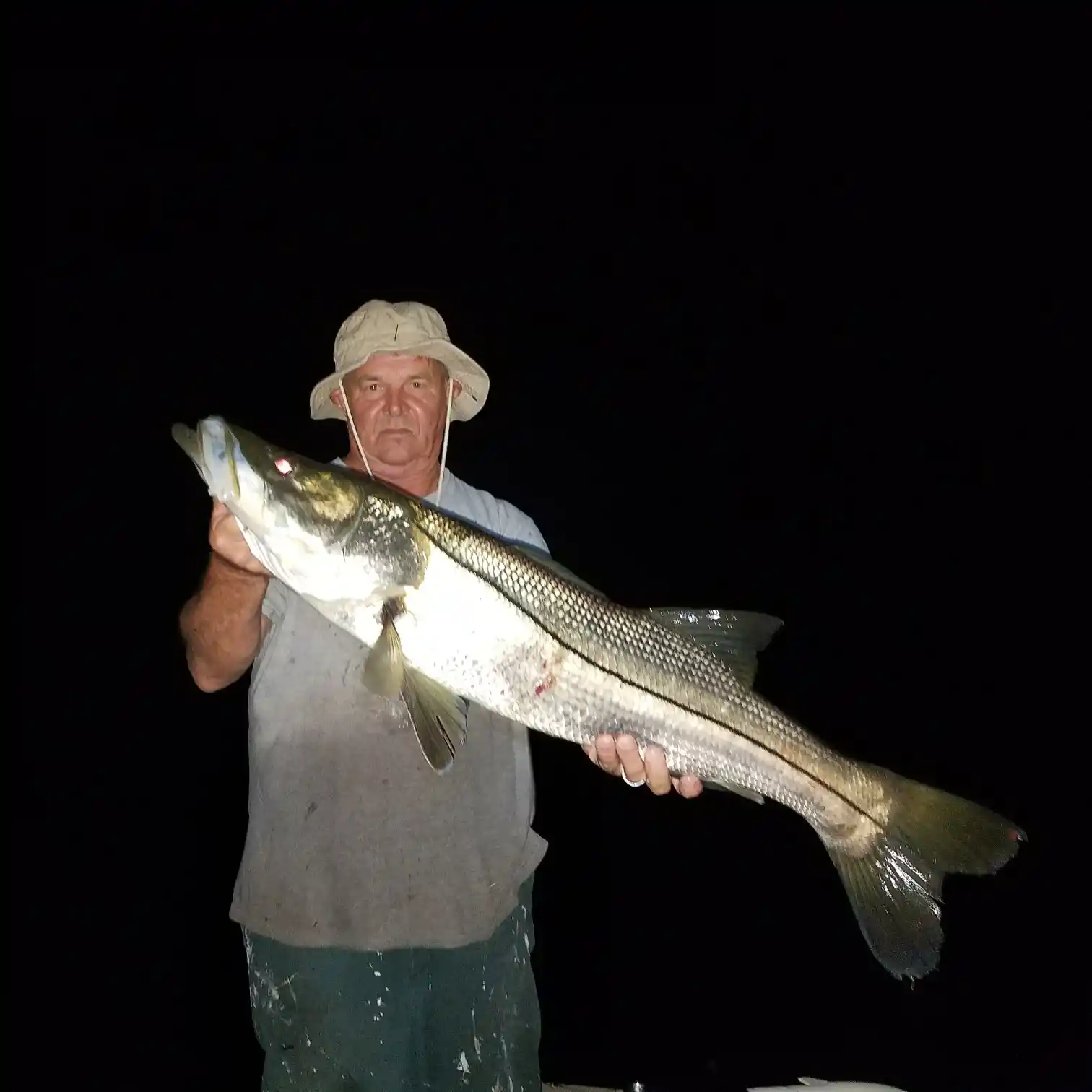 ᐅ Anclote River fishing reports🎣• Tarpon Springs, FL (United States