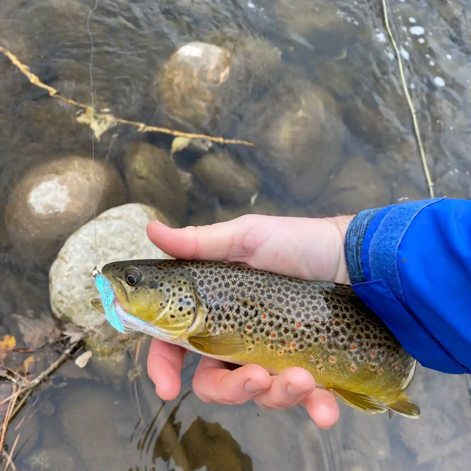 Stillwater River MT