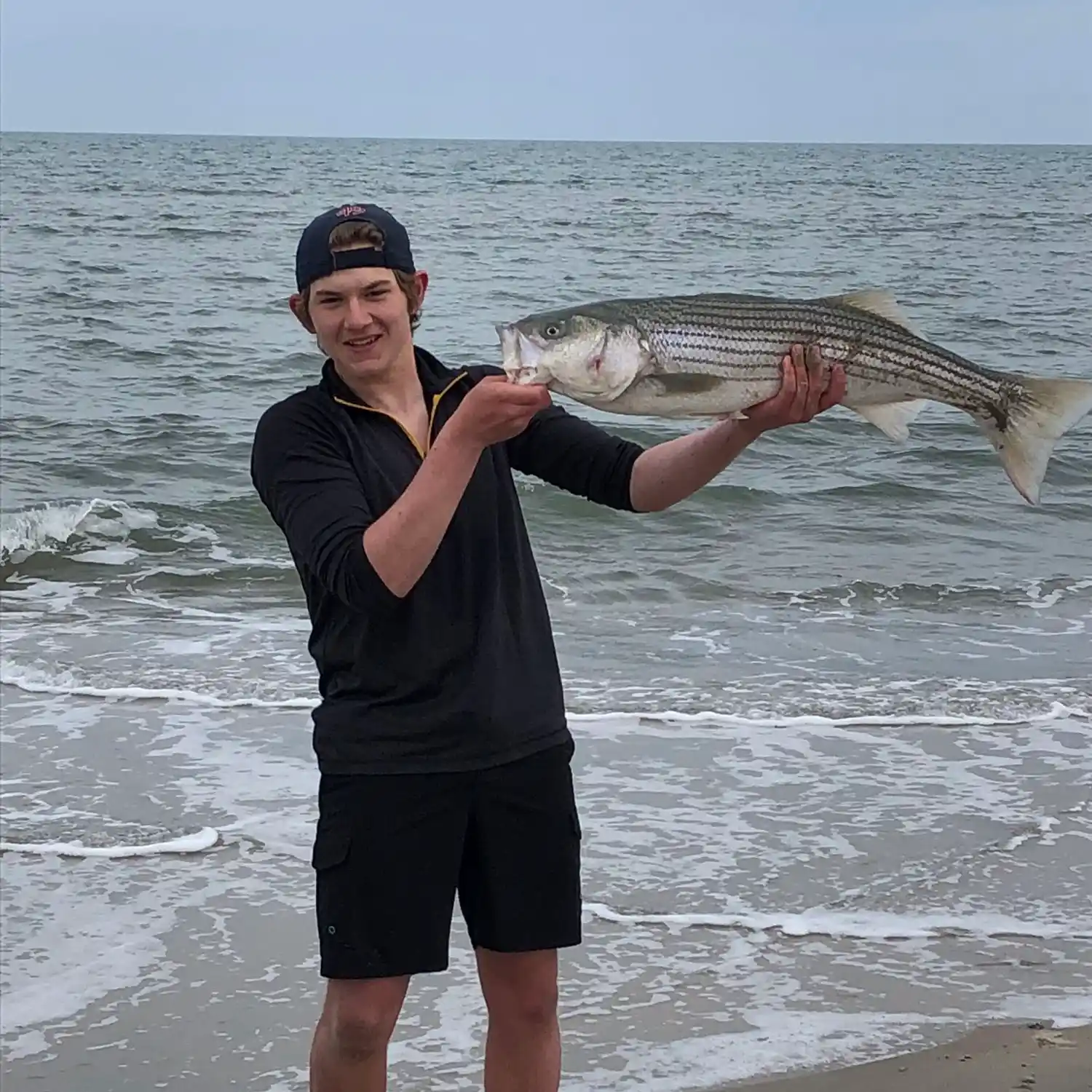 Striped Bass Fishing: species guide, charters and destinations - Tom's Catch