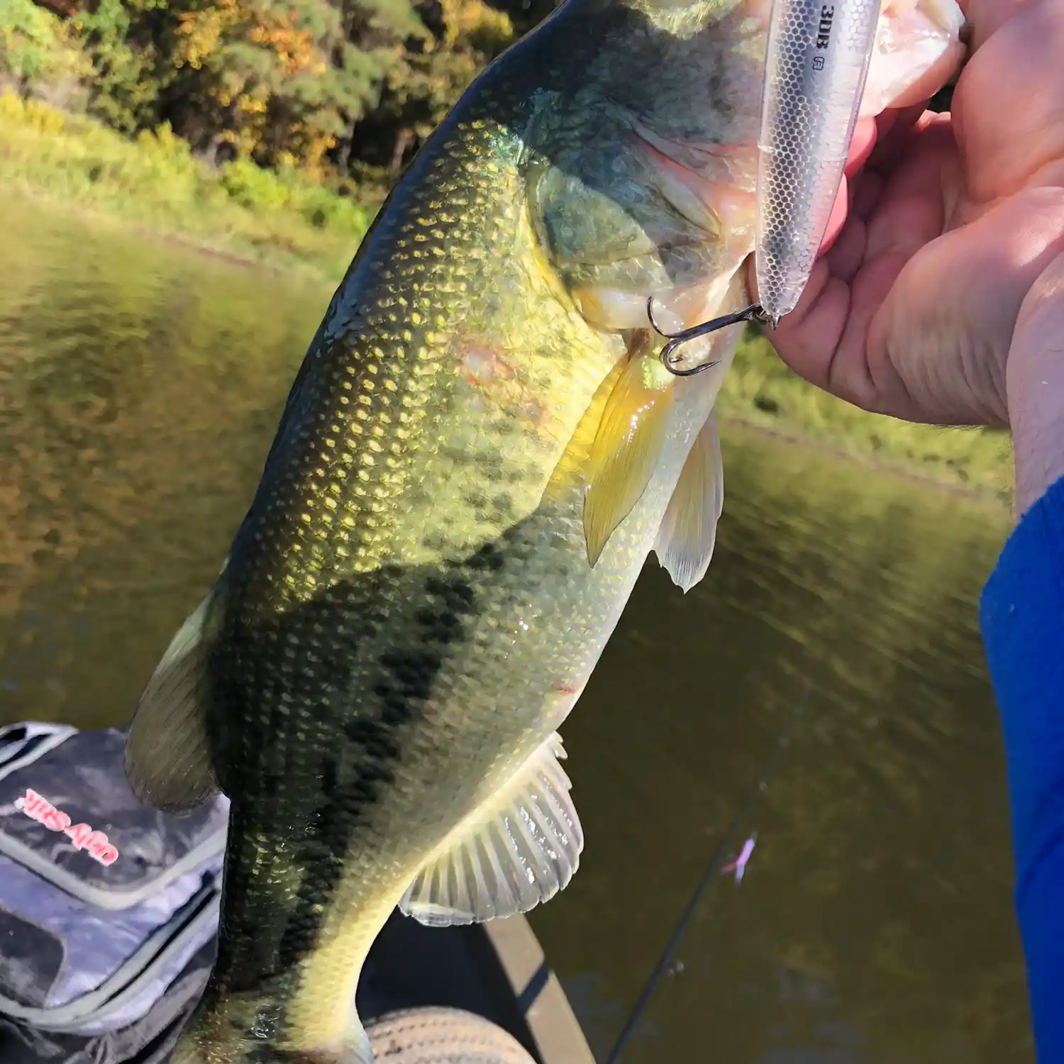 Yarbrough Lake, Texas Fishing Report