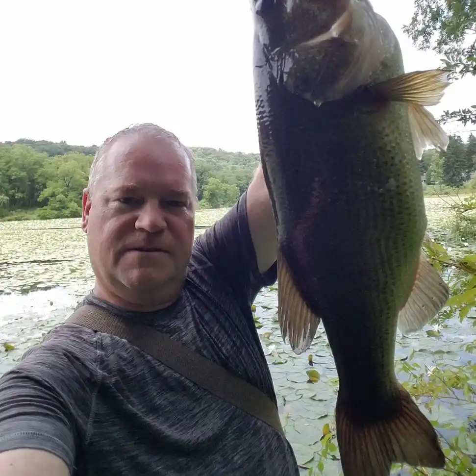 ᐅ Shawnee Lake fishing reports🎣• East Stroudsburg, PA (United States)  fishing