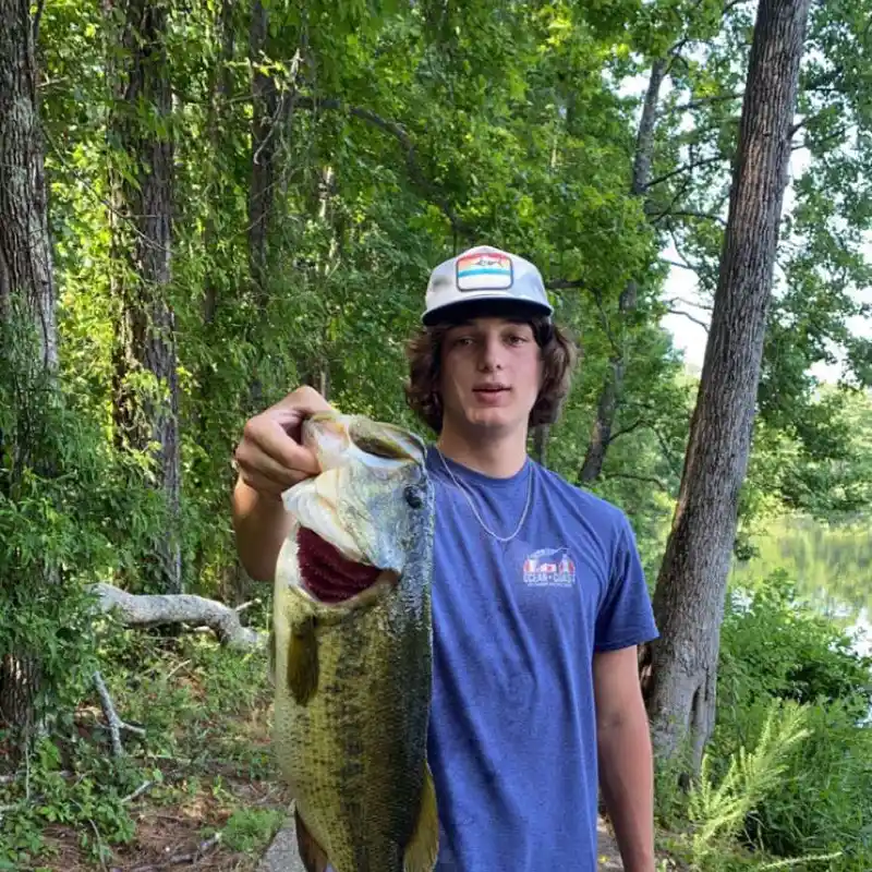 ᐅ Lucas Pond fishing reports🎣• Bastrop, AR (United States) fishing