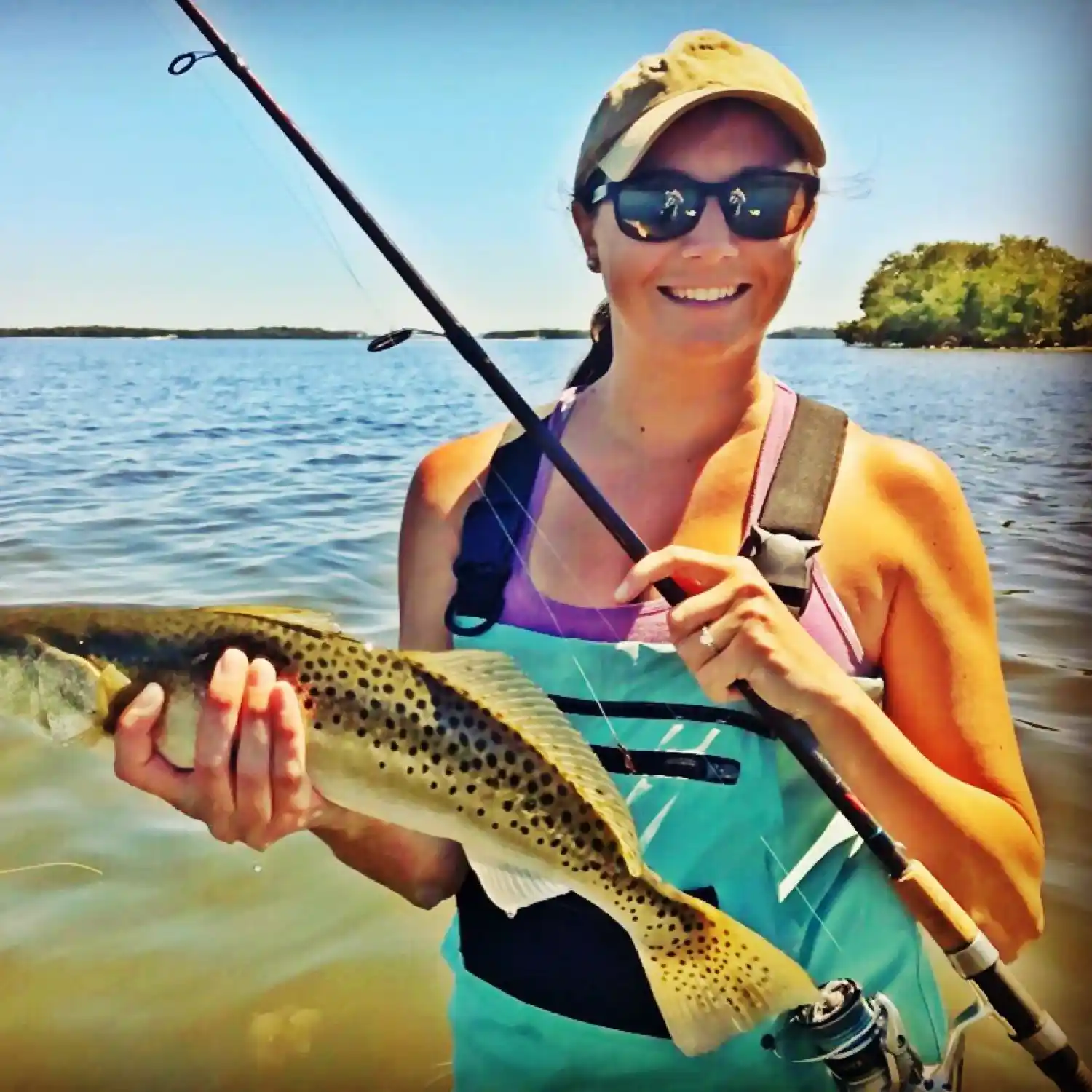 ᐅ Terra Ceia Bay fishing reports🎣• Palmetto, FL (United States) fishing