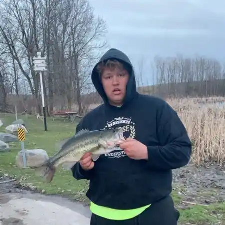 ᐅ Gerber Lake fishing reports🎣• Sheboygan, WI (United States) fishing