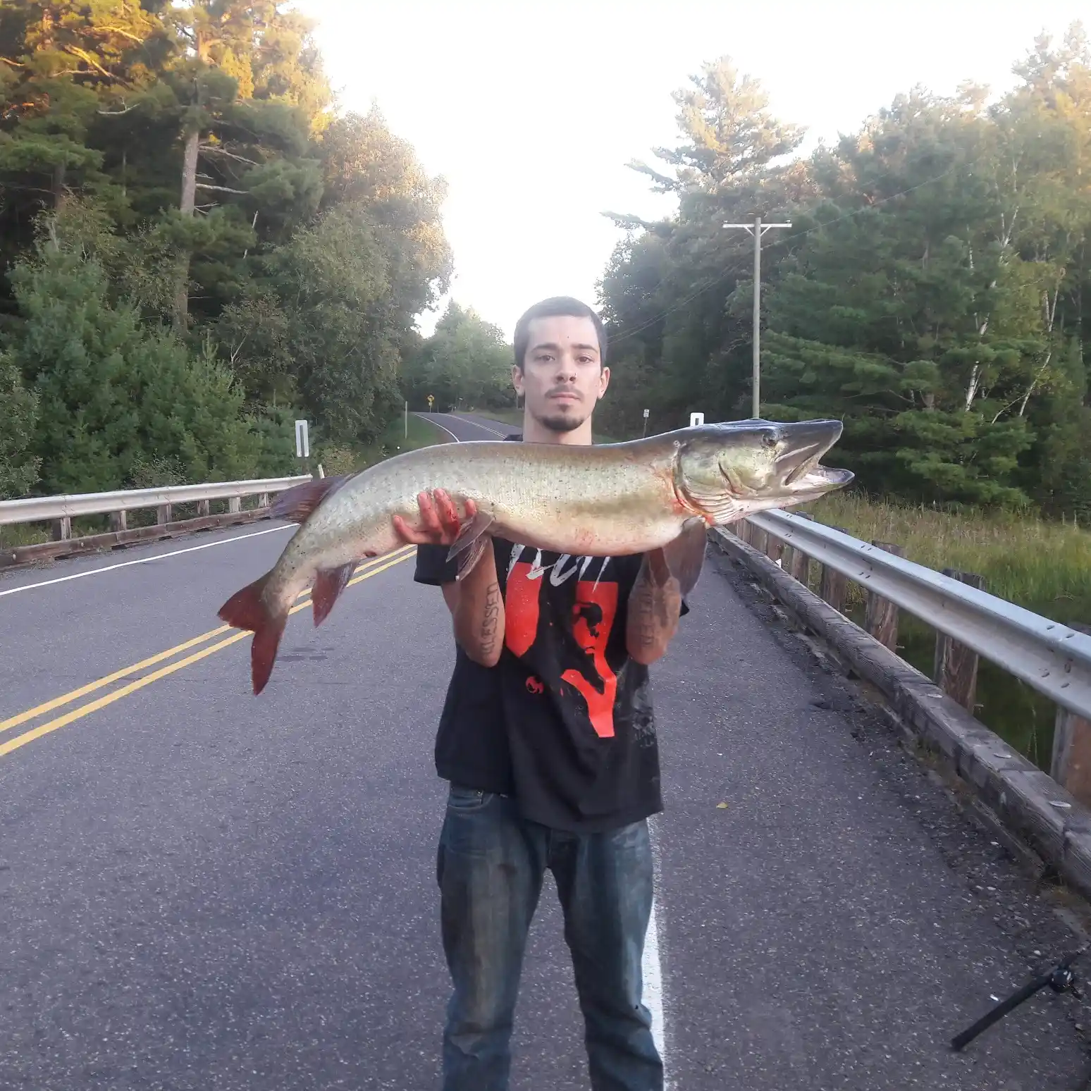 ᐅ Lower Clam Lake fishing reports🎣• WI, United States fishing