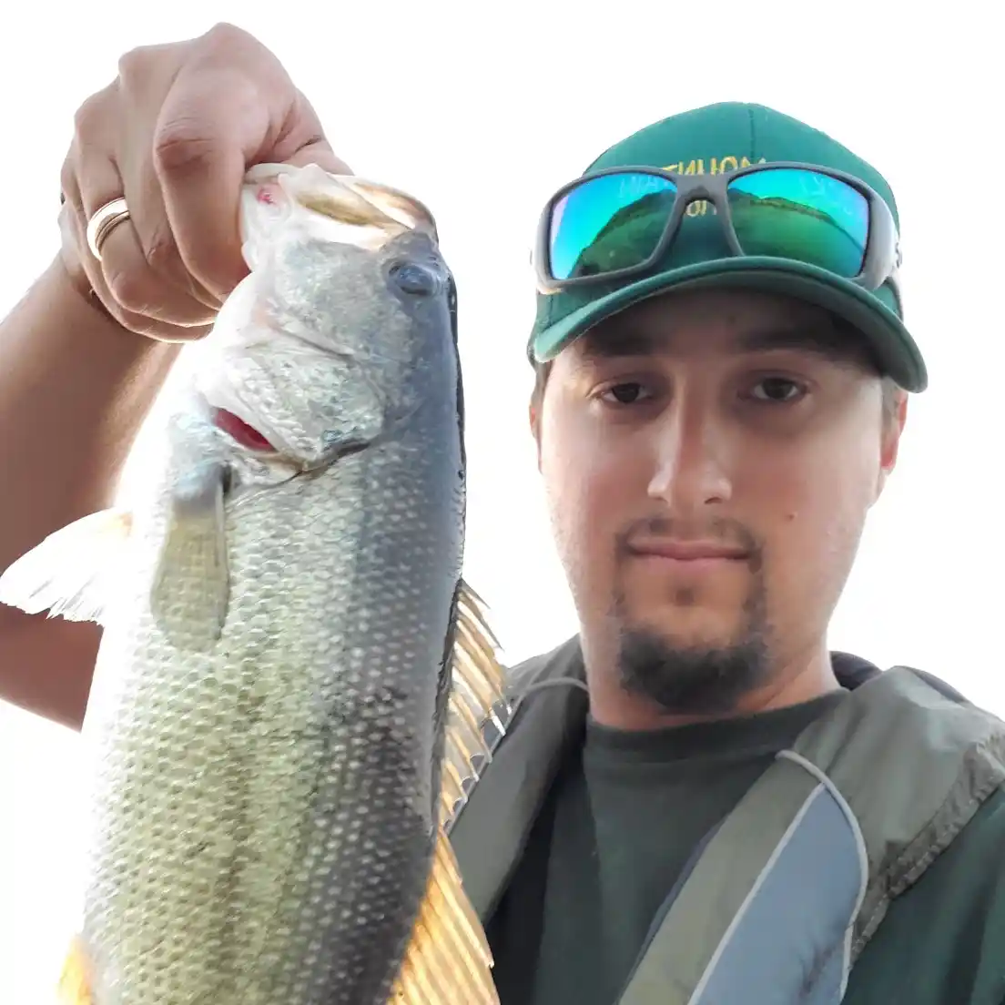 ᐅ Lake Cachuma fishing reports🎣• Goleta, CA (United States) fishing