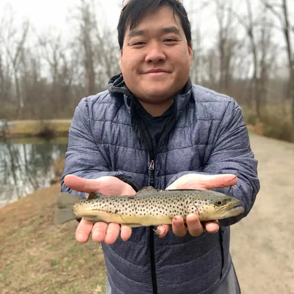 Charles D. Owen District Park fishing reports Asheville NC