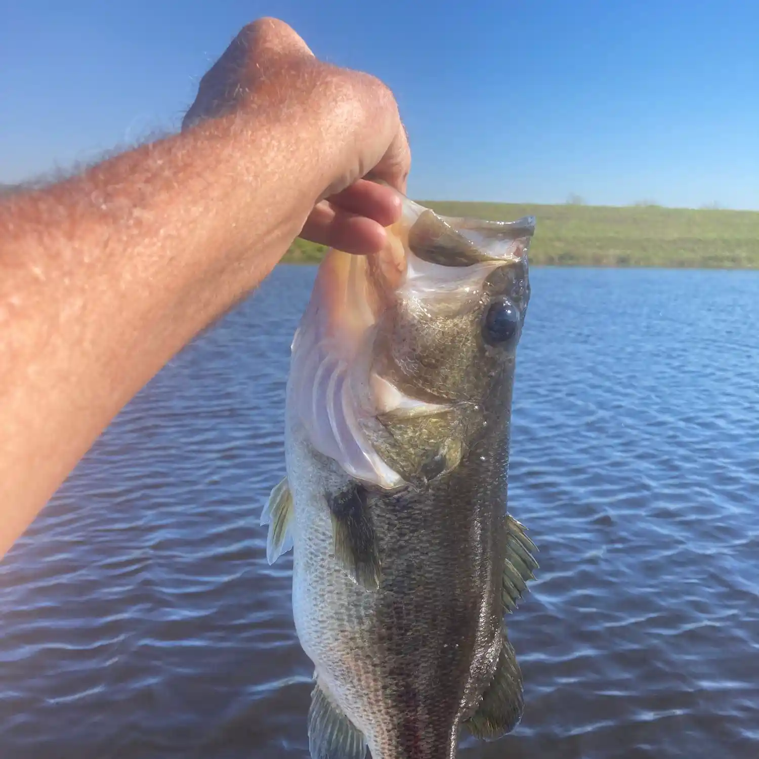 Canal Fishing somewhat close to the Hollywood Beach, FL area? : r/Fishing